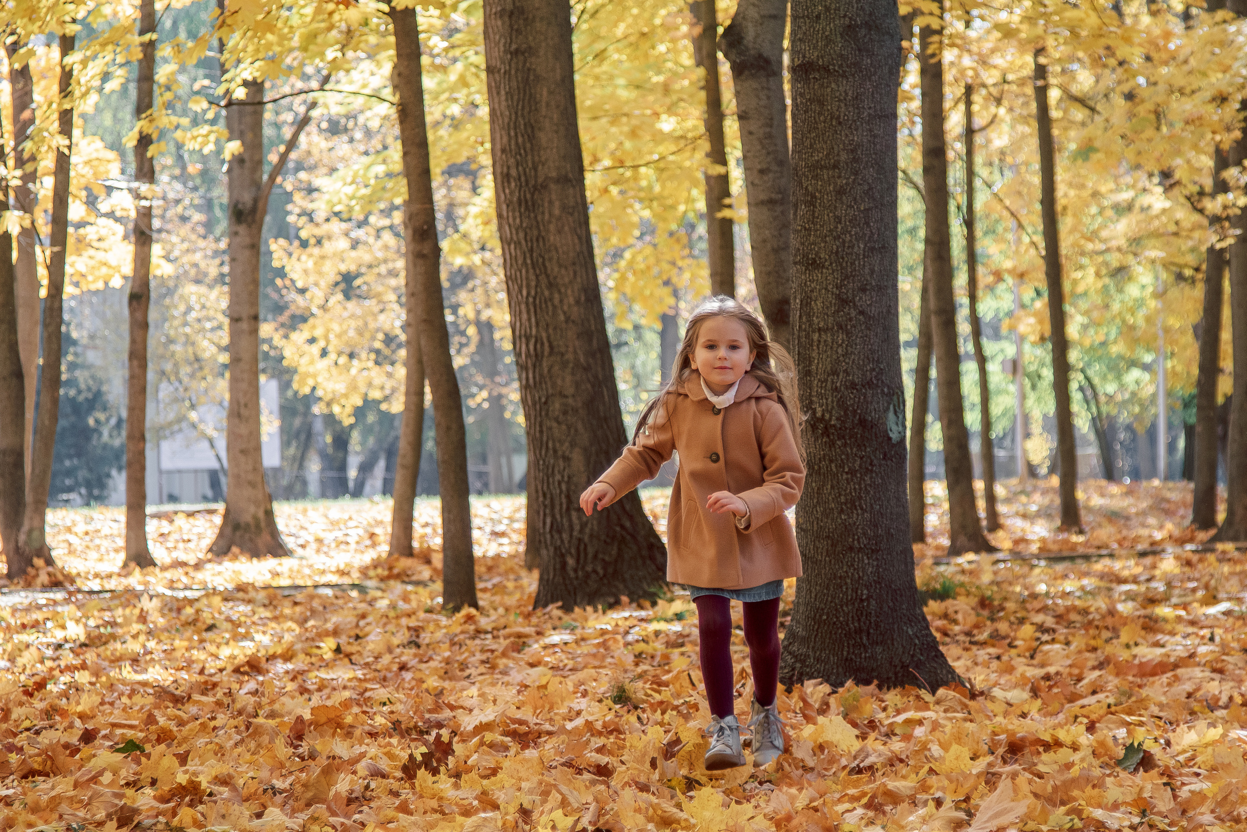 Осень в Воронцовском парке. Балетный фотограф в Москве Галина Молчанова