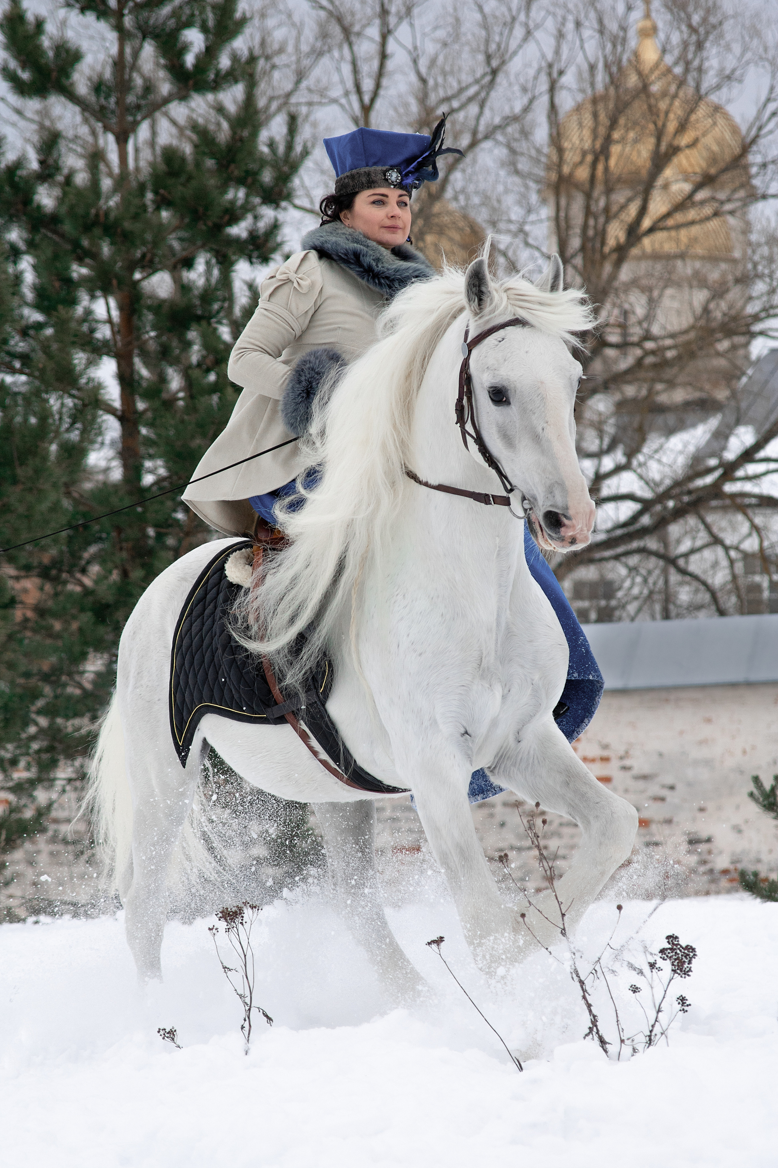 Фотосессии с лошадьми. Балетный фотограф в Москве Галина Молчанова