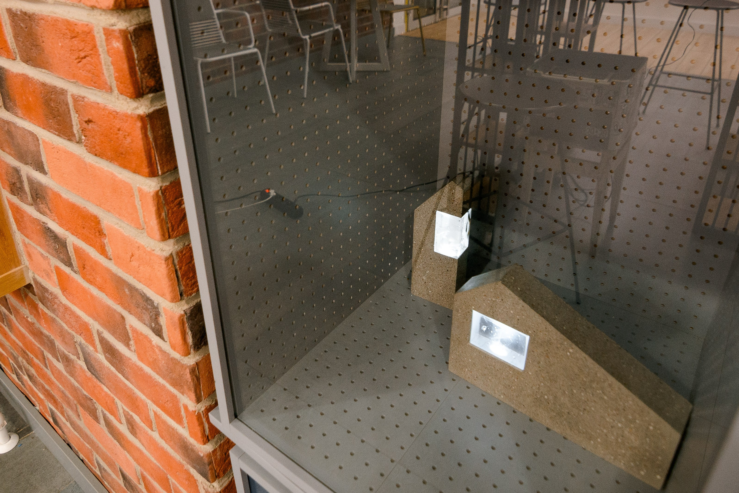 Библиотека. Нота. Alice_insomnia