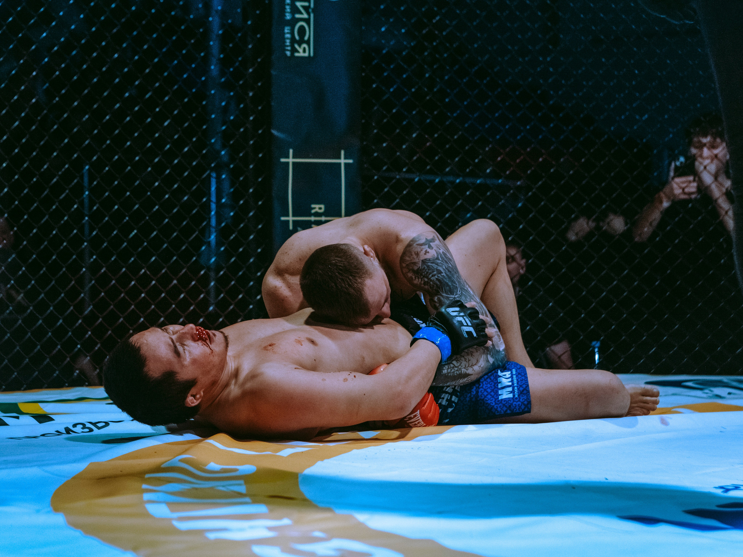 SFL 17 | Siberian Fighting League. Портретный фотограф в Москве Дарья Цезария