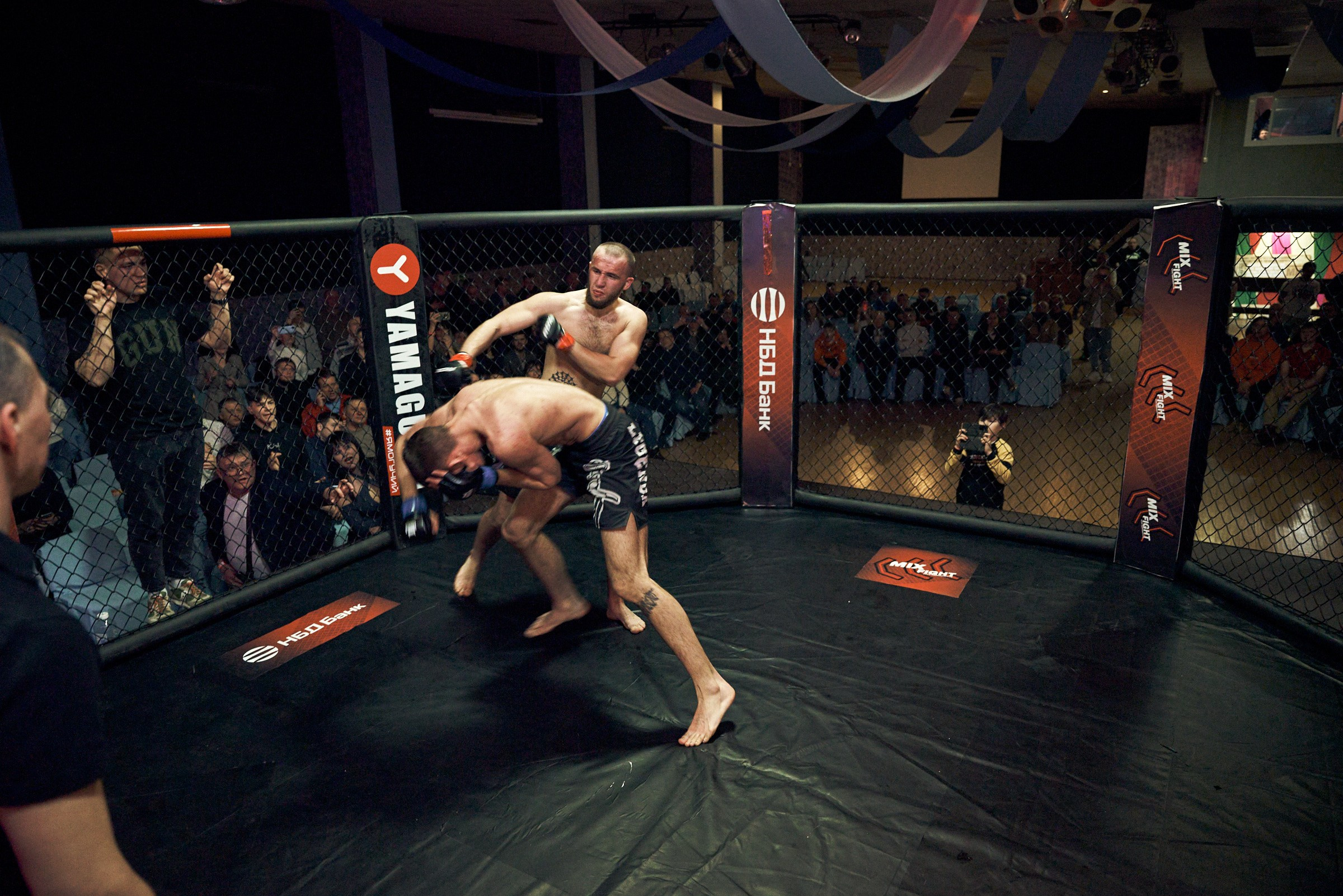 Бои. Маляревич Дмитрий свадебный фотограф