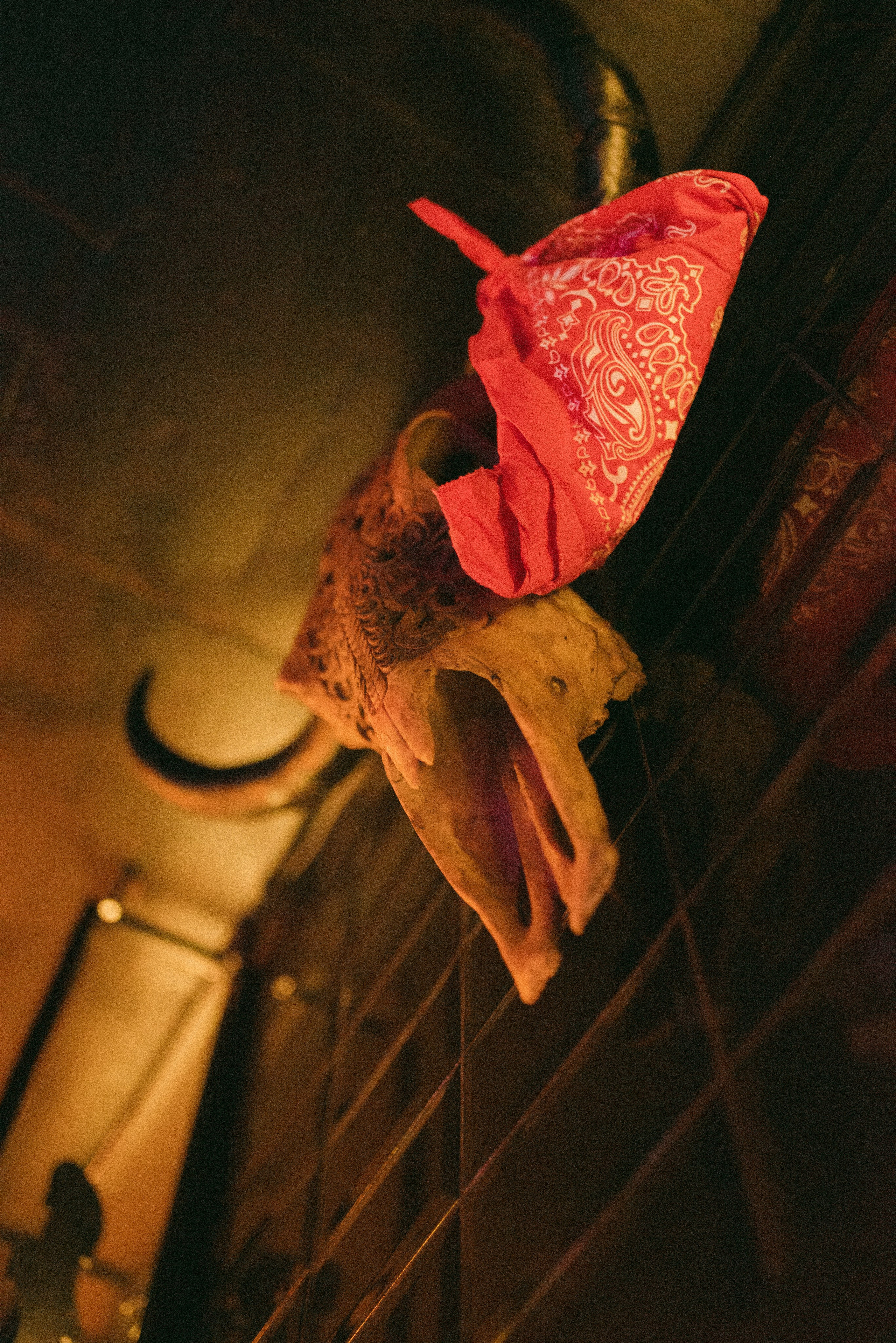 El Chapo 90s. Фотограф Санкт-Петербург, Новороссийск