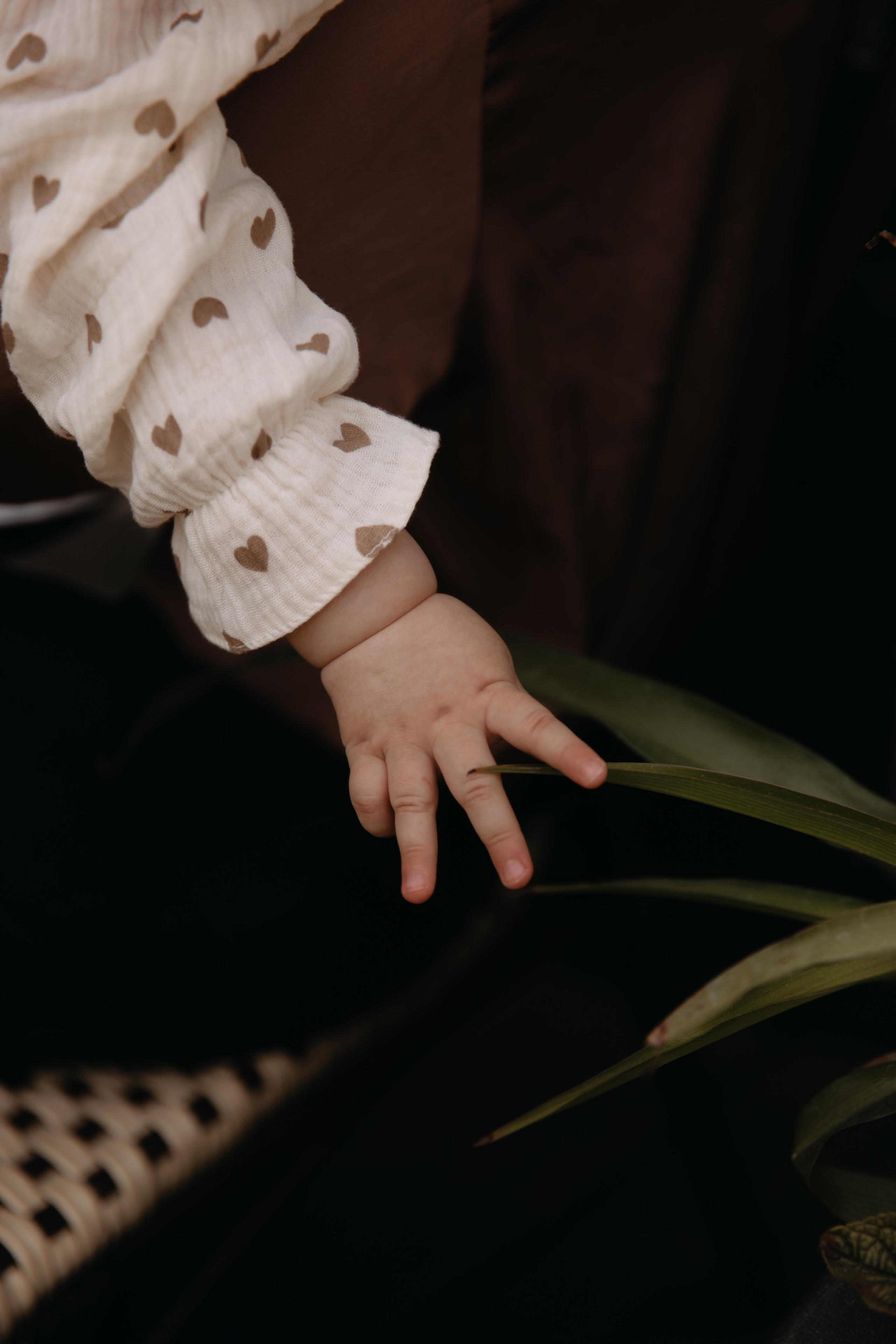 Первая прогулка. Женский и свадебный фотограф Москва Елизавета Перова