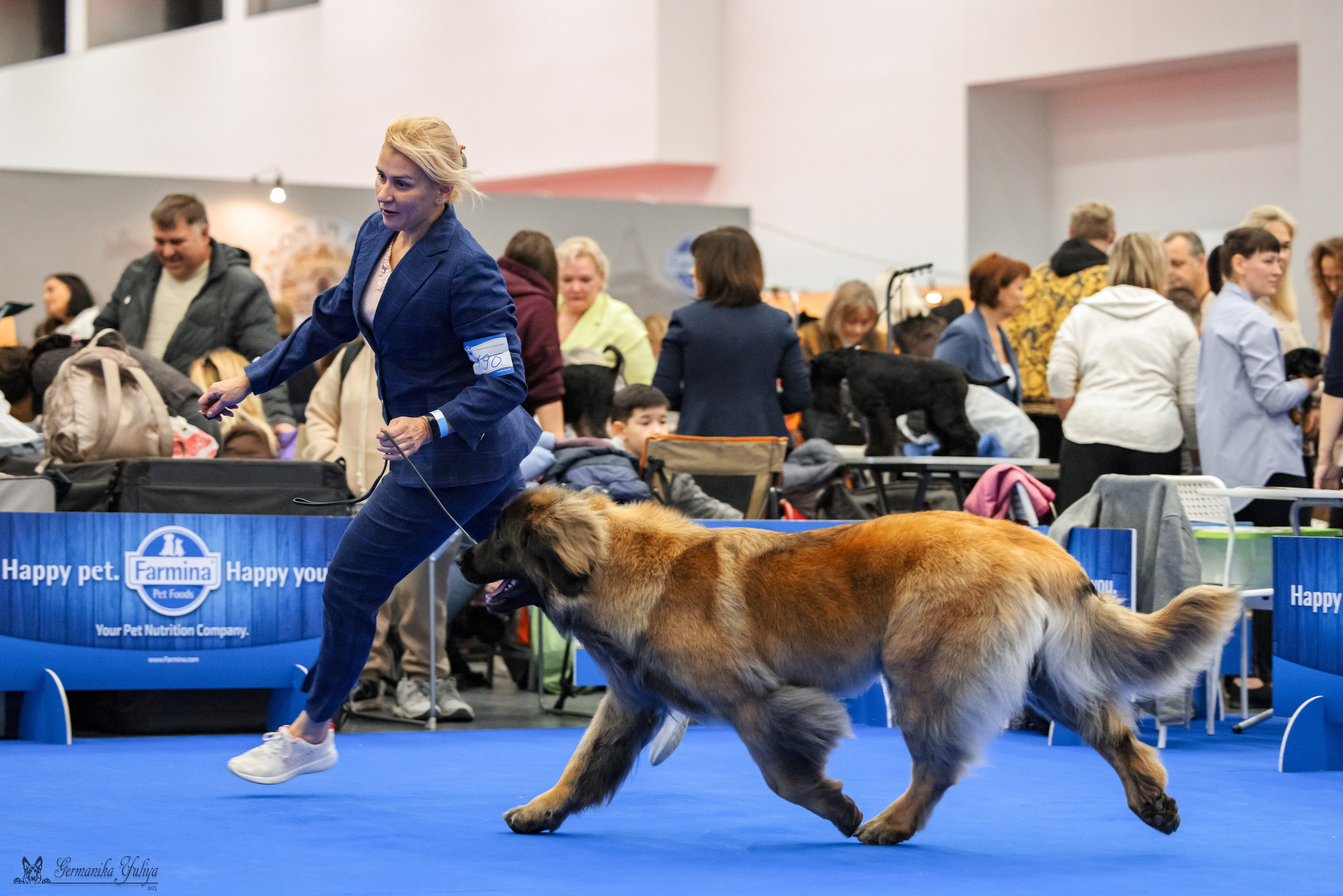 Нижний Новгород 21-22.10.2023. Фотограф-анималист Юлия Германика