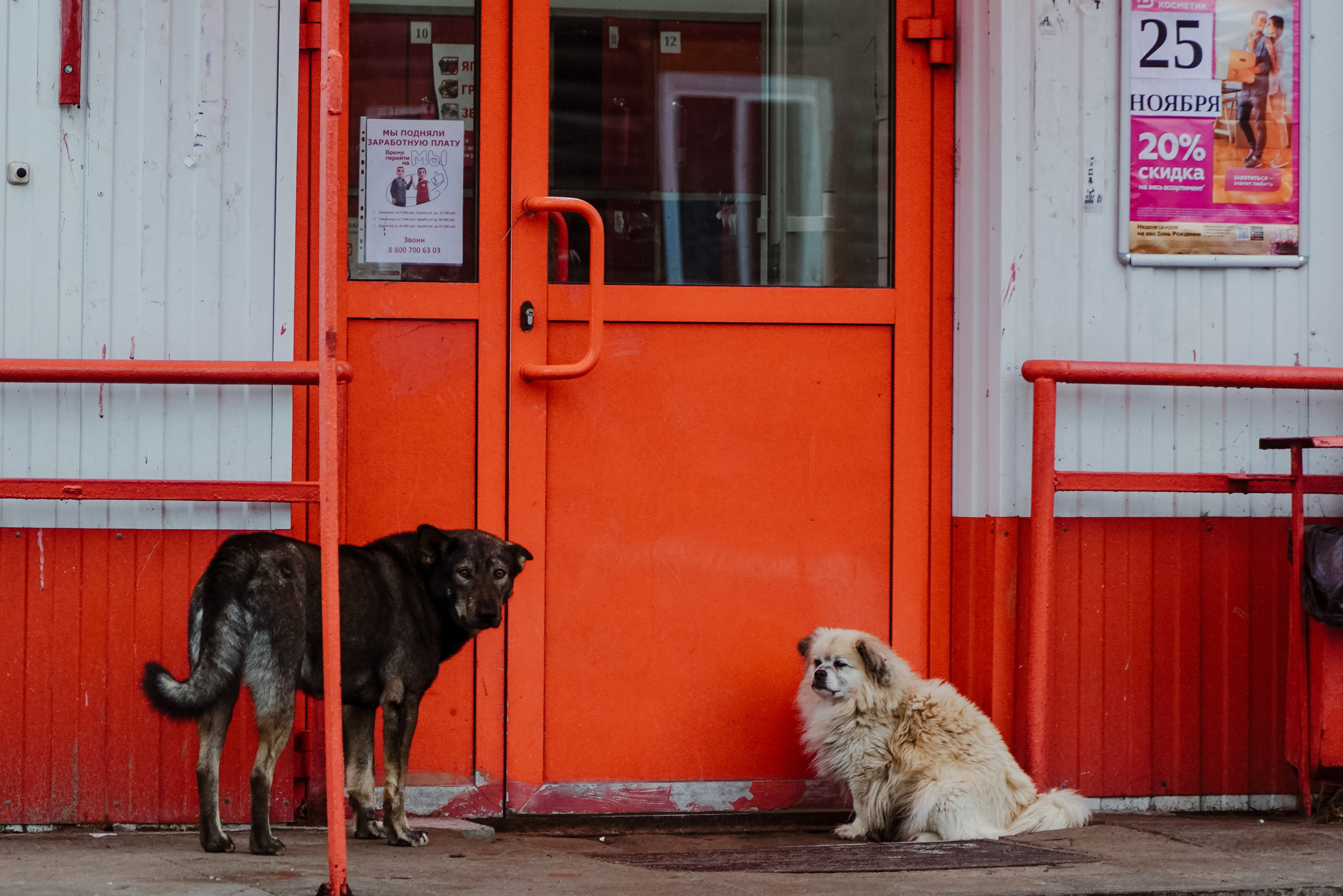 Красновишерск, Ноябрь 2023