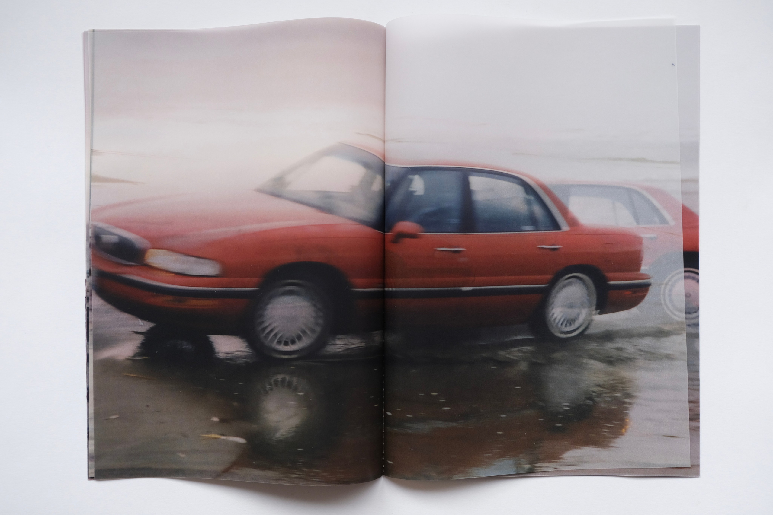 BuickleSabre1998 [книга/work in progress]. Аня белка — художница и фотограф