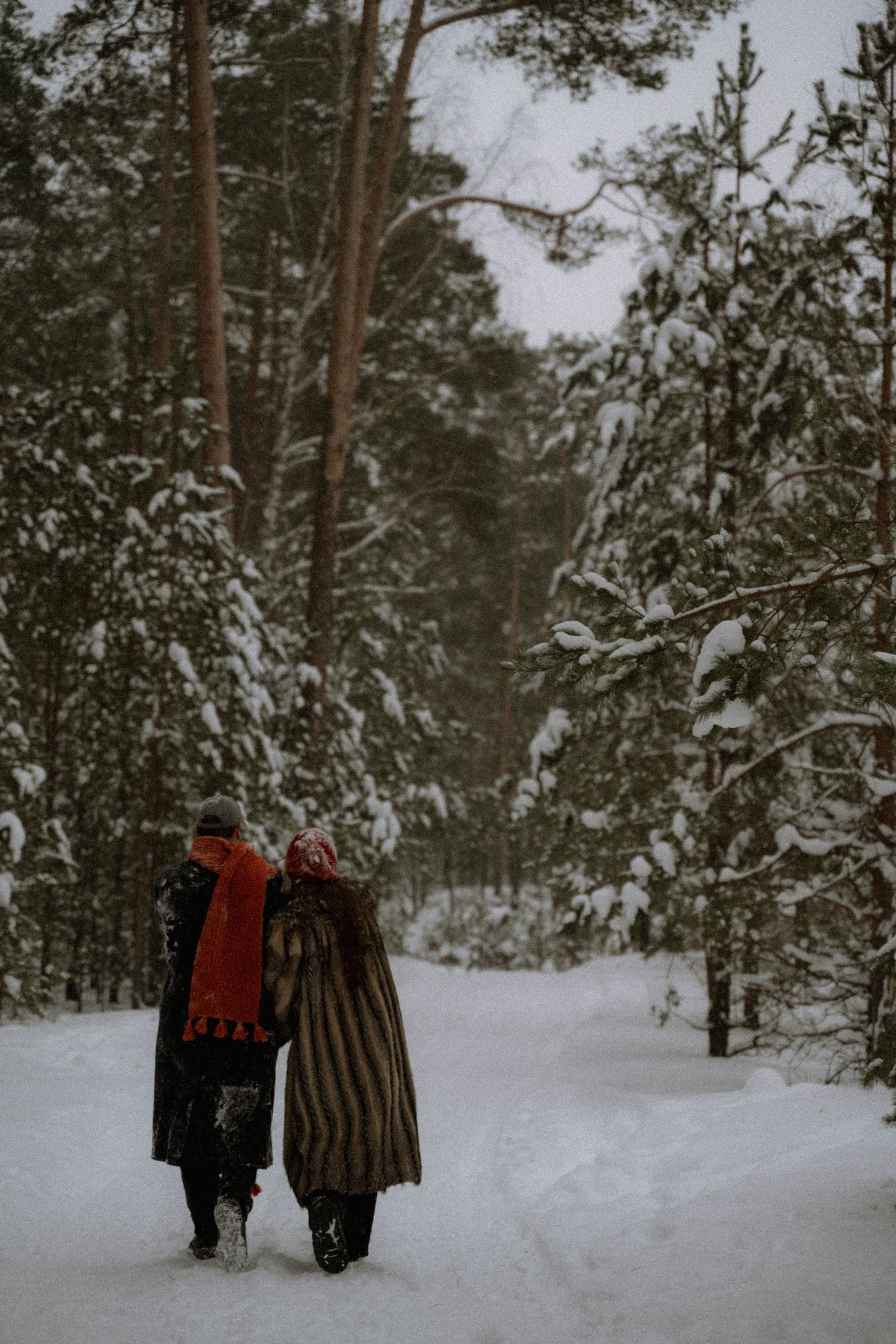 Очень зимние дела. Главная