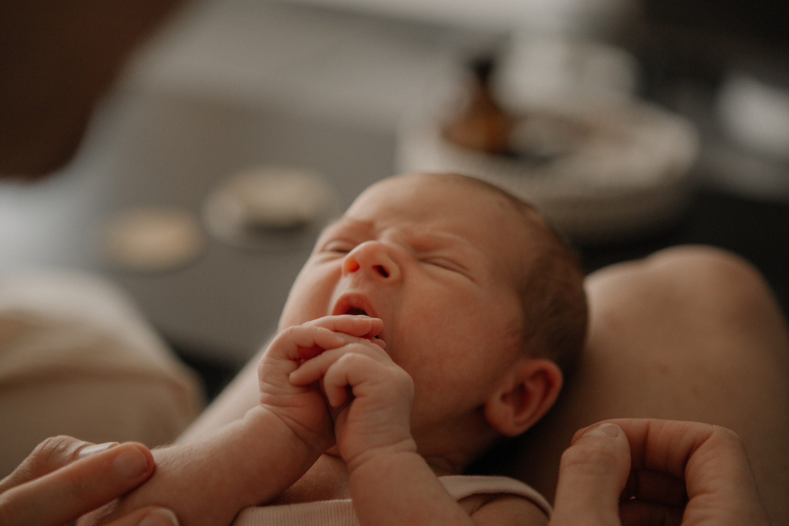 Kira + Katya & Igor. Portrait, family and pet photographer in Cyprus, Ksenia Bourdelle