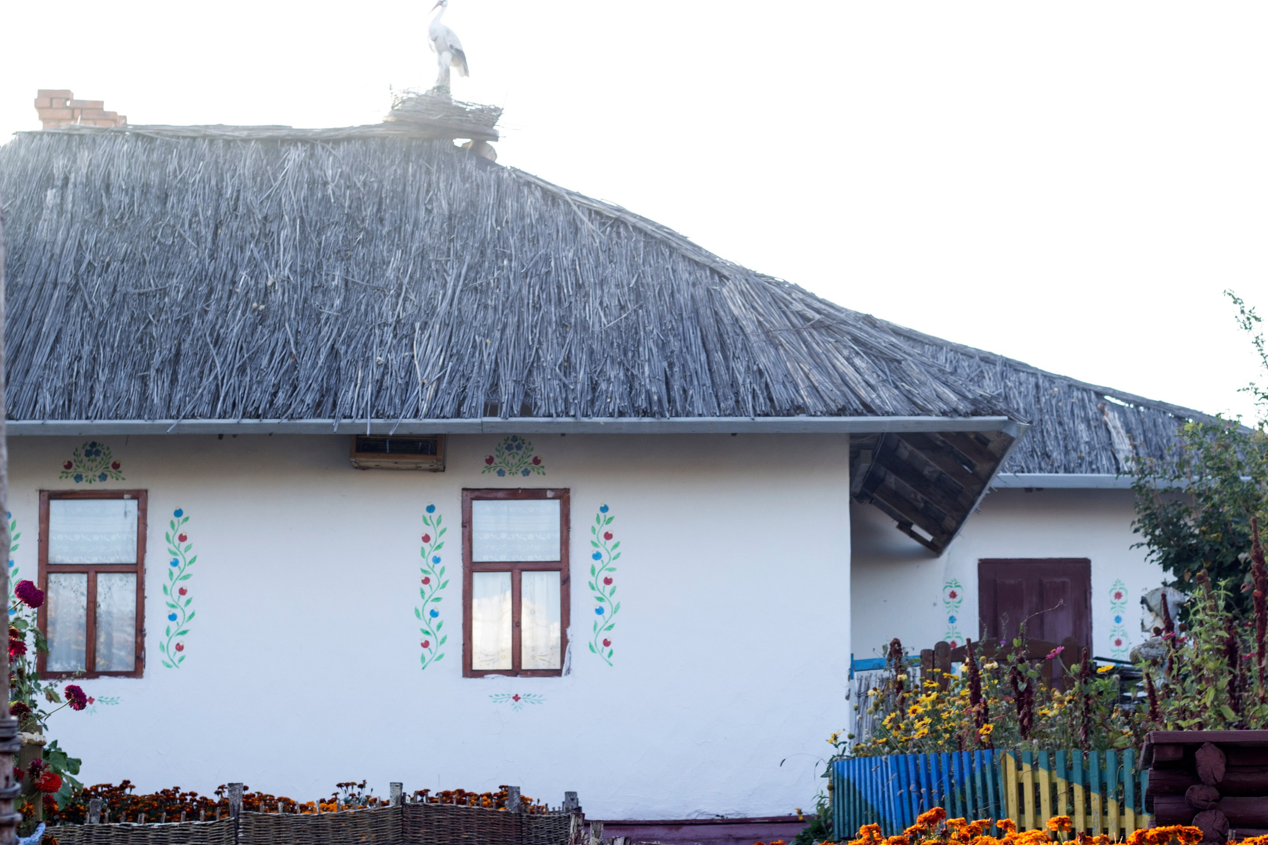 Абстракция. Команда фотографов Кристины Ивановой