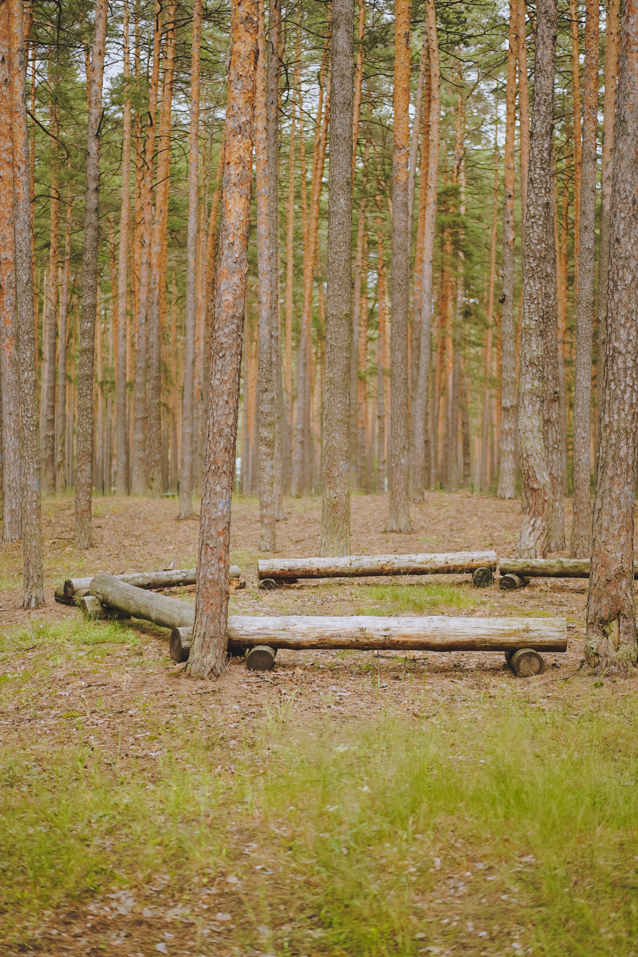 Палаточный форум CAMPot 2025. Фотограф Надежда Погребняк | Рязань | Москва