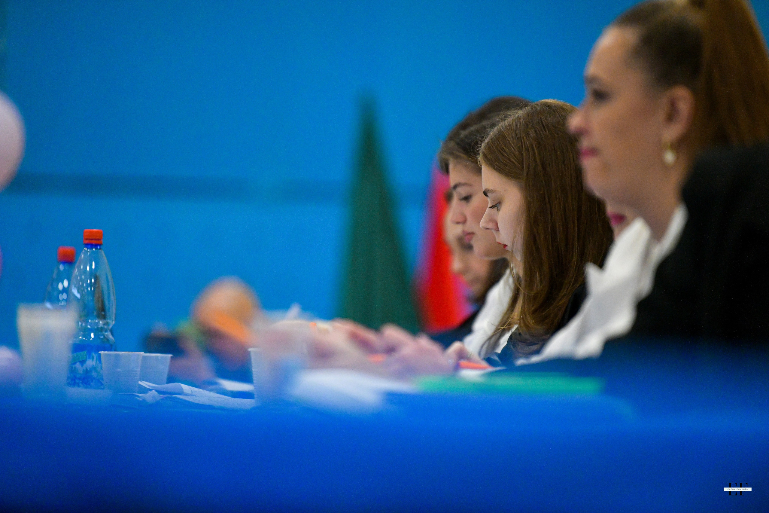 Фестиваль гимнастики «Северная грация» 02.11.2024. Свой взгляд через объектив