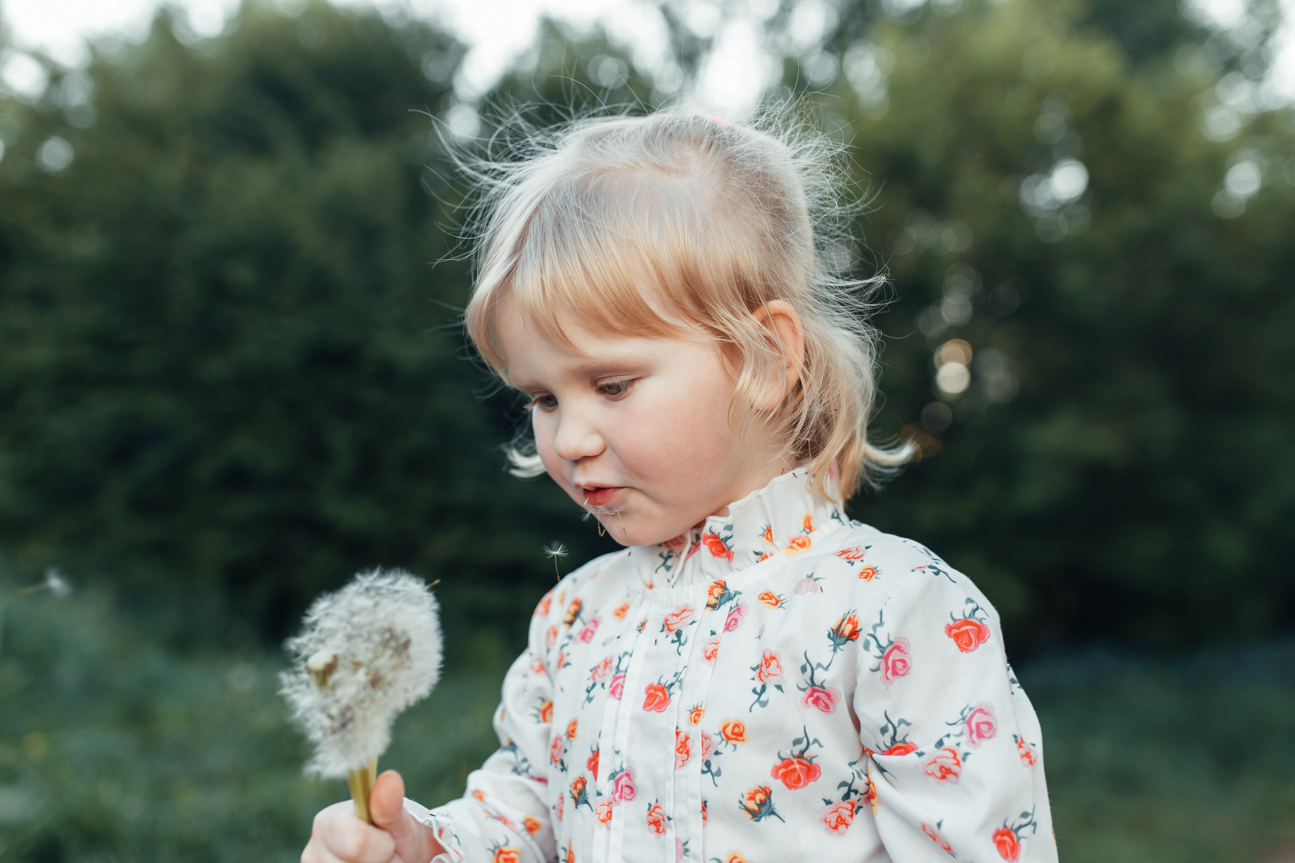 Золотые пушинки. Семейный фотограф в Москве. Дарья Долгих