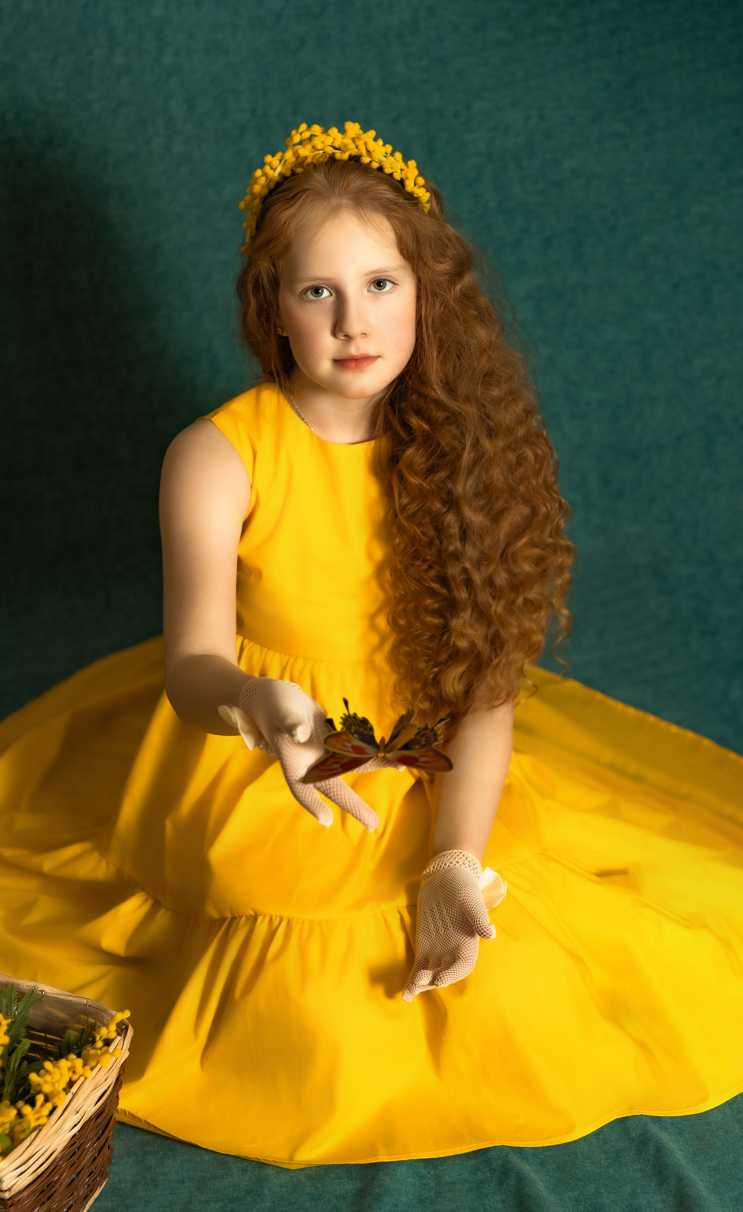 Мимоза. Рыжий Фотограф Иркутск