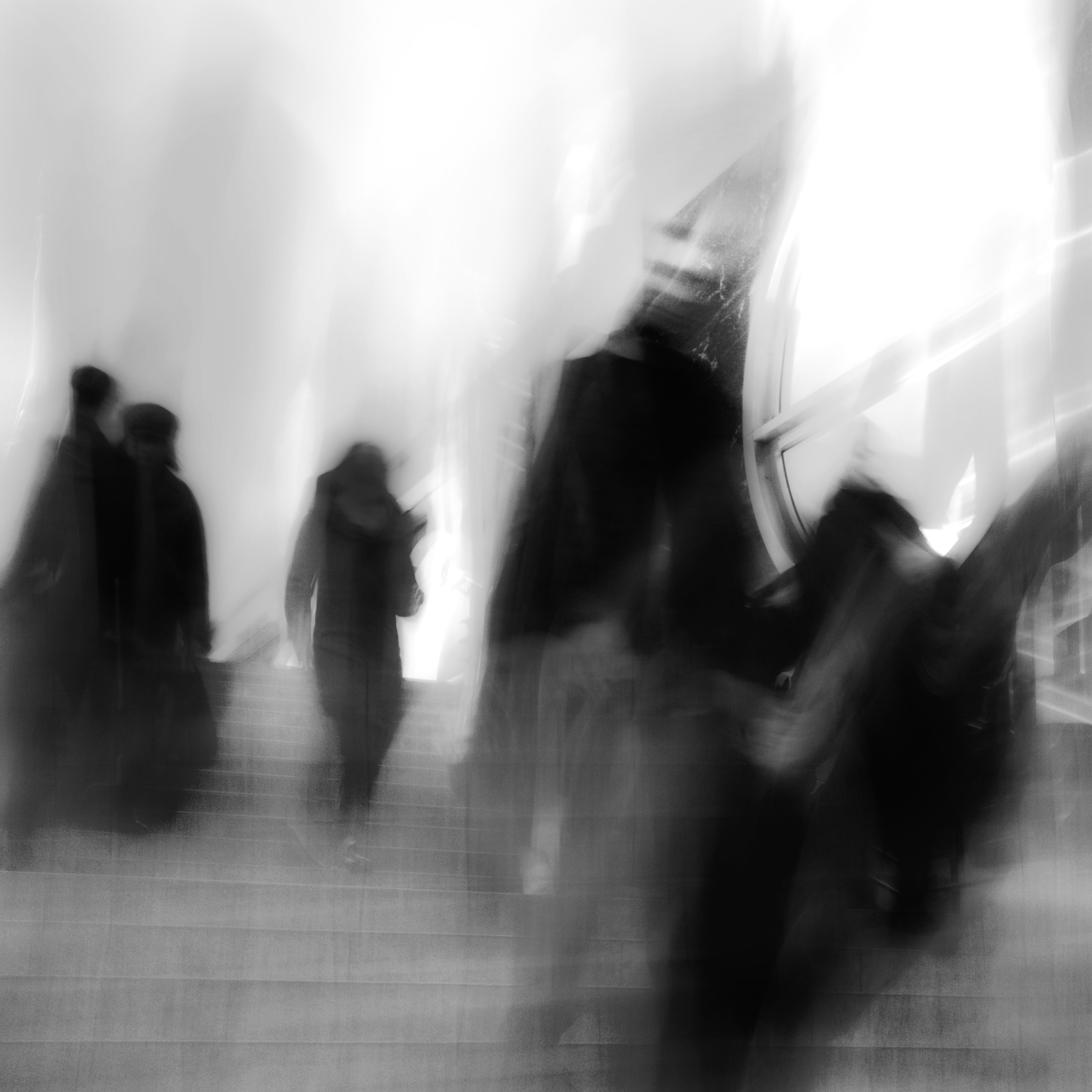 Primavera. Metagraphy