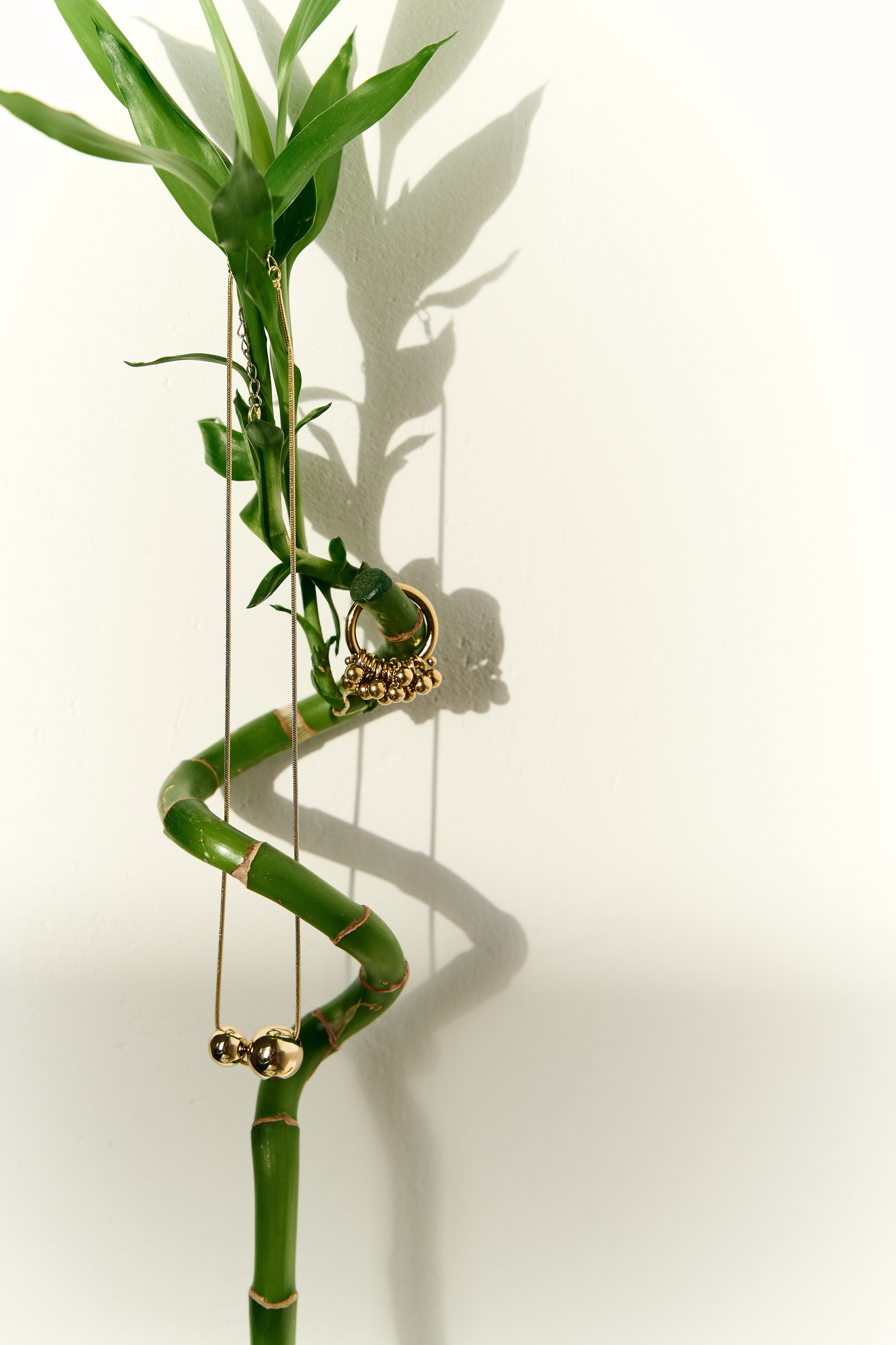 UNALOME. Фотограф Дарья Зайцева