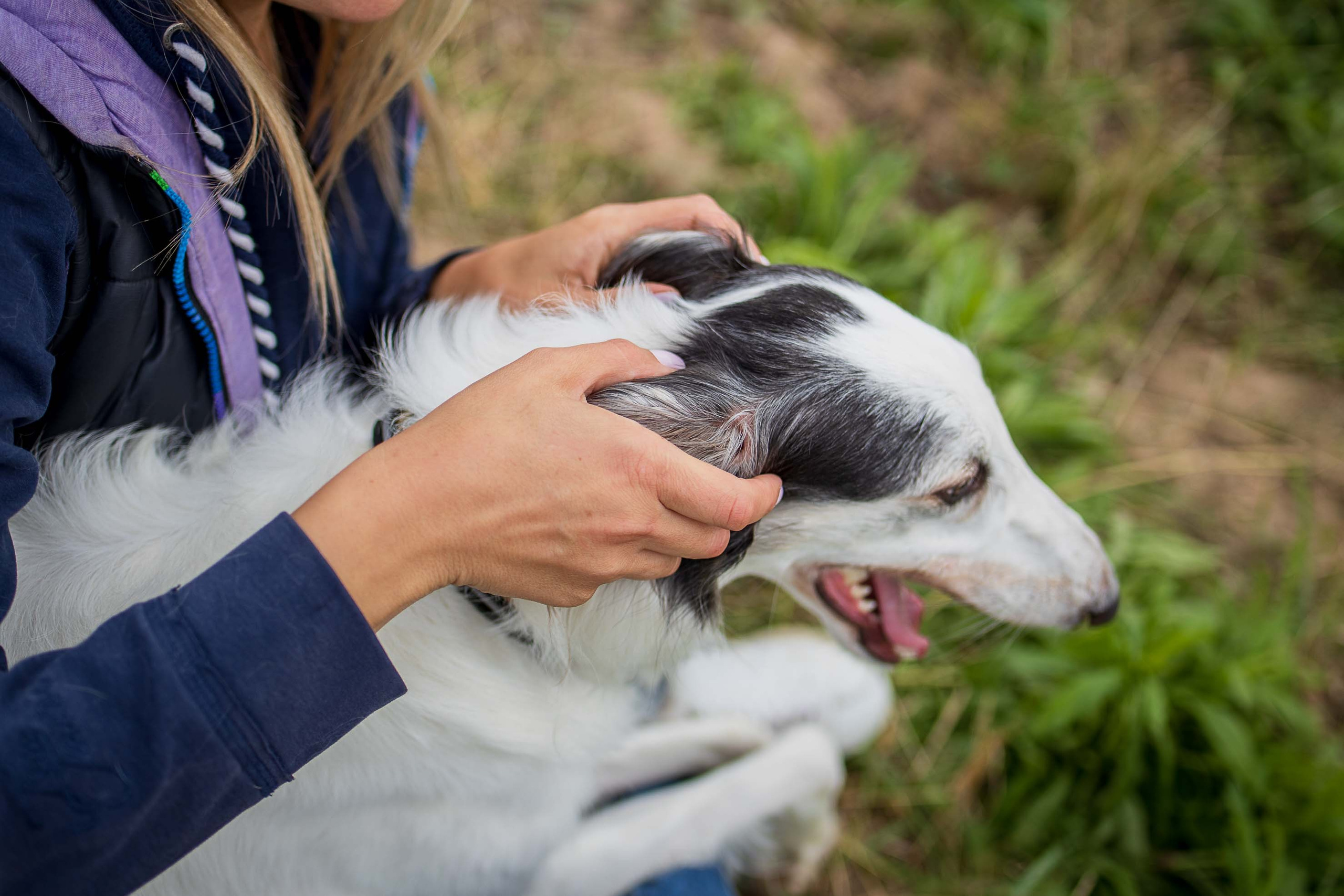 РПБ. Фотограф-анималист Александра Шеремет