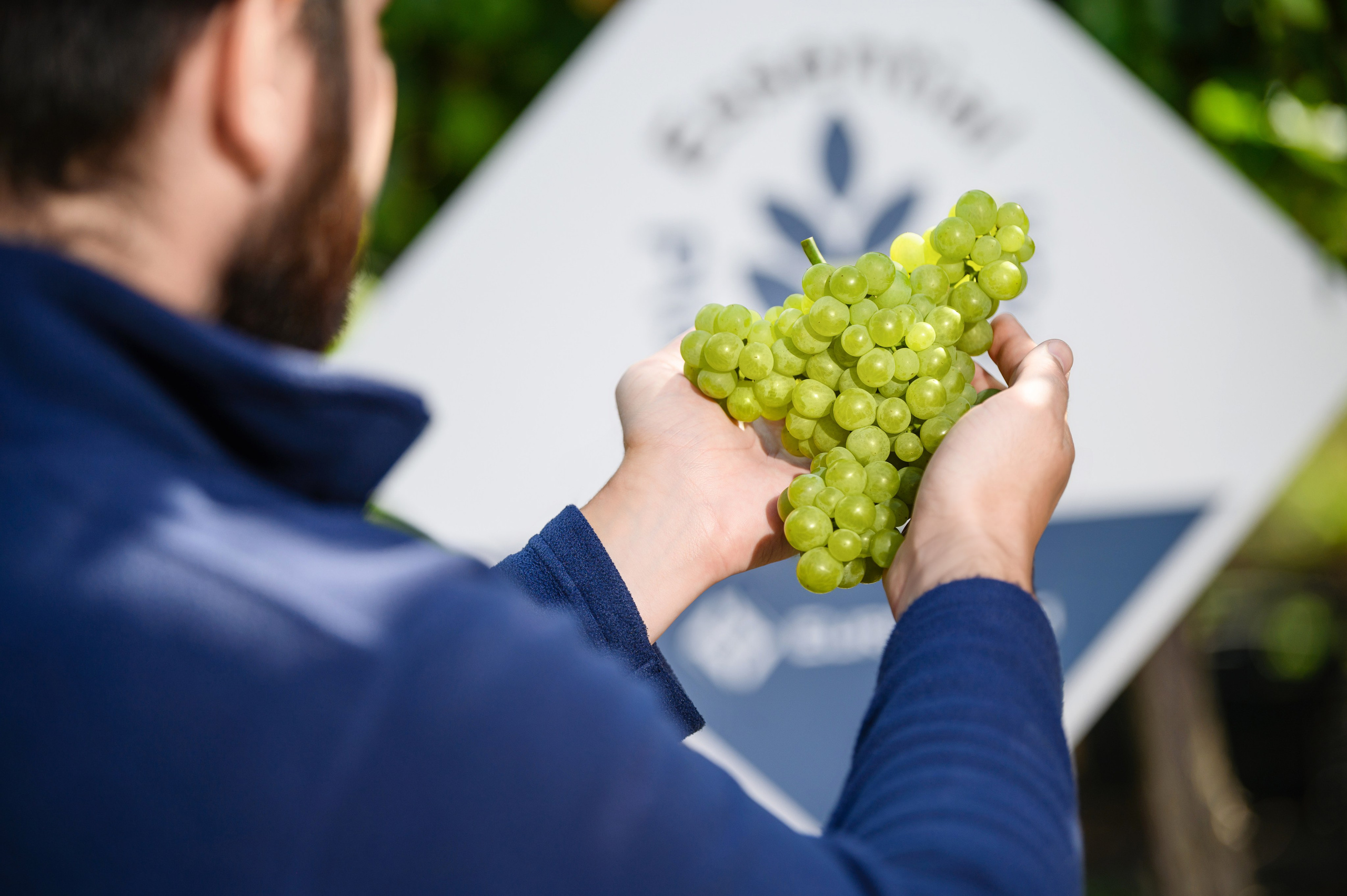 Проекты. Профессиональный фотограф Вячеслав Плацында | Липецк |