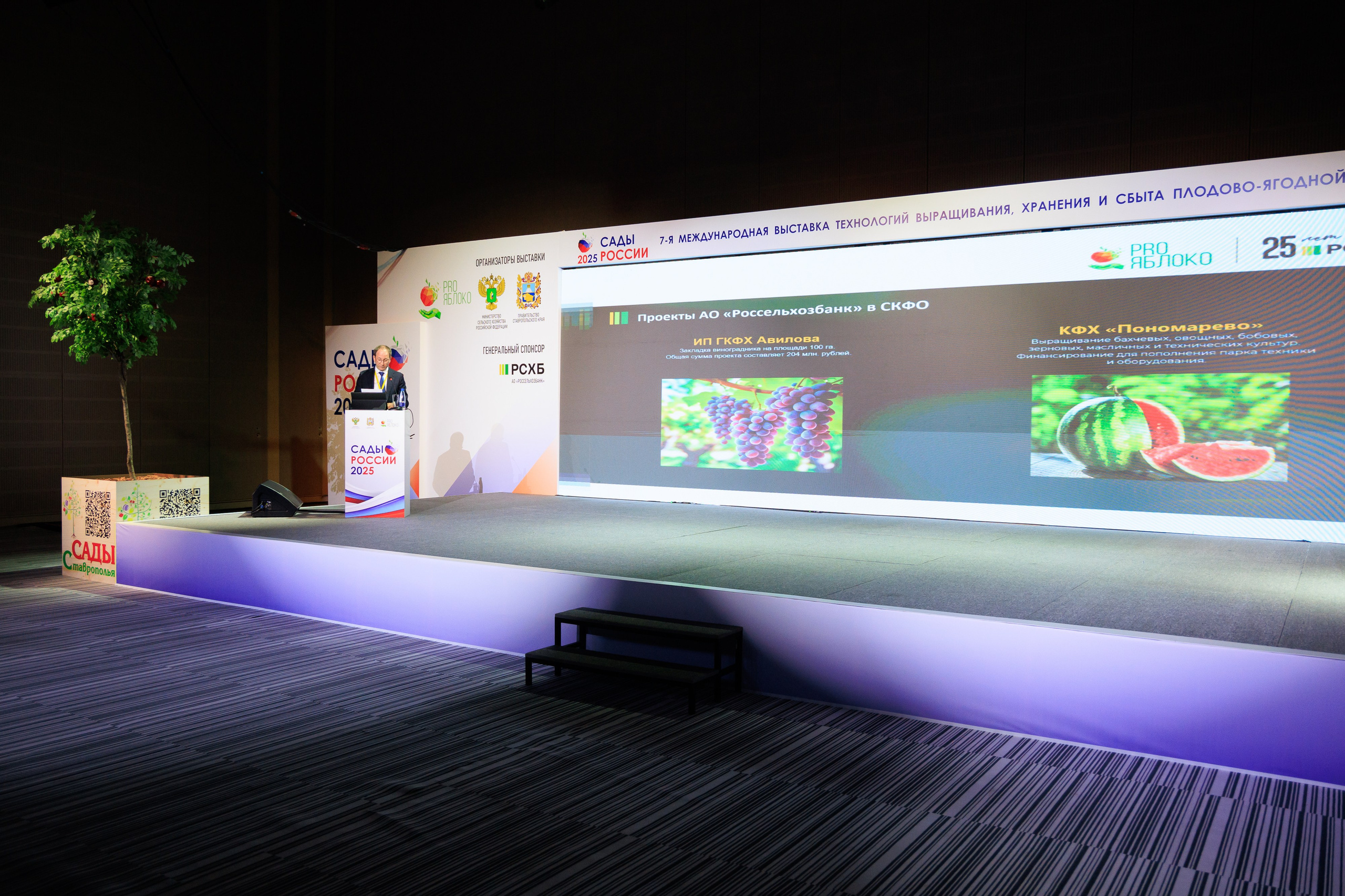 Репортажный фотограф. Репортажная фотосъёмка Минеральные Воды, Пятигорск, Кисловодск, Ставрополь. Репортажный и свадебный фотограф Пятигорск и КМВ