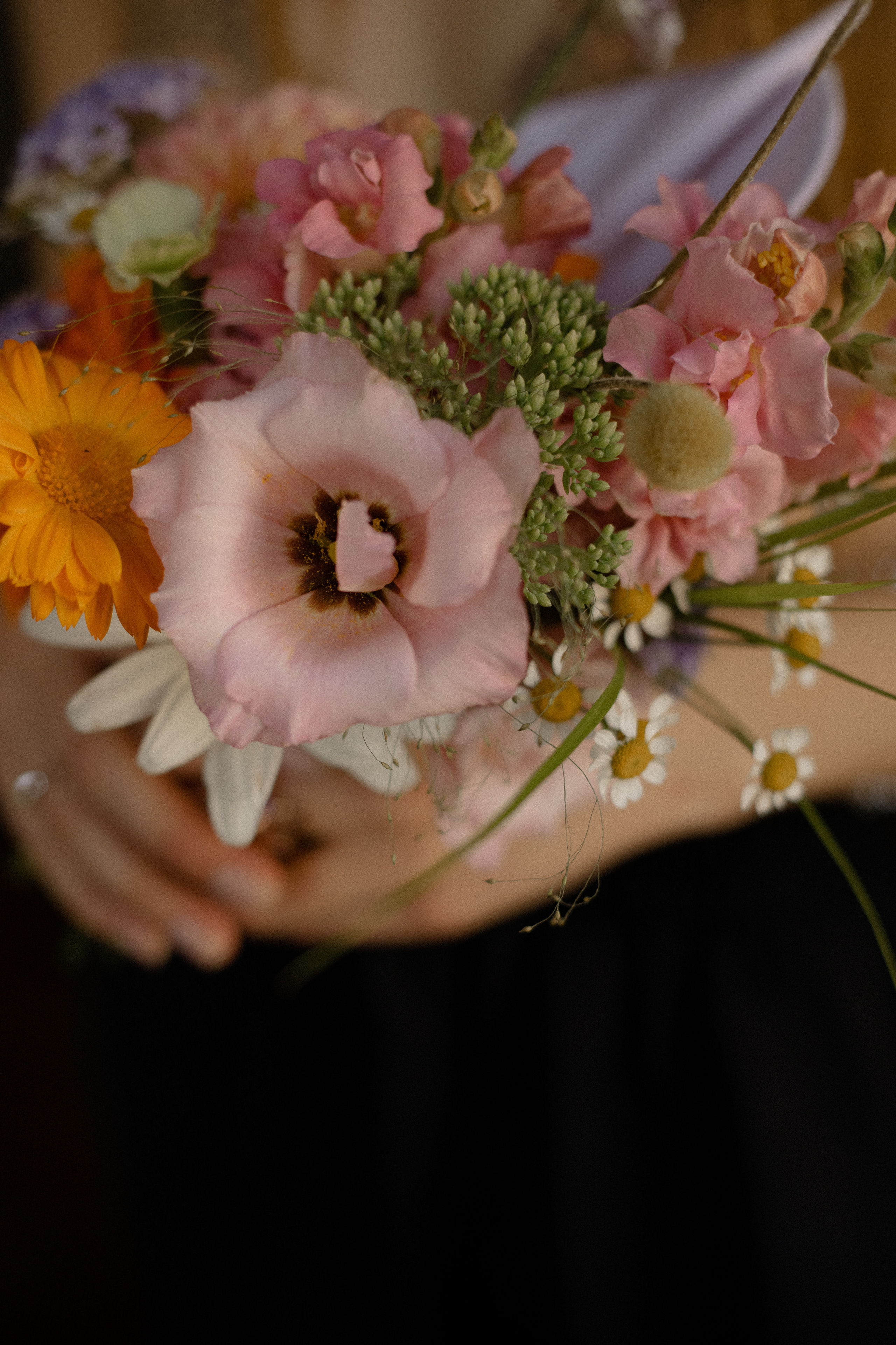 D|A. Свадебный фотограф Таня Караисаева