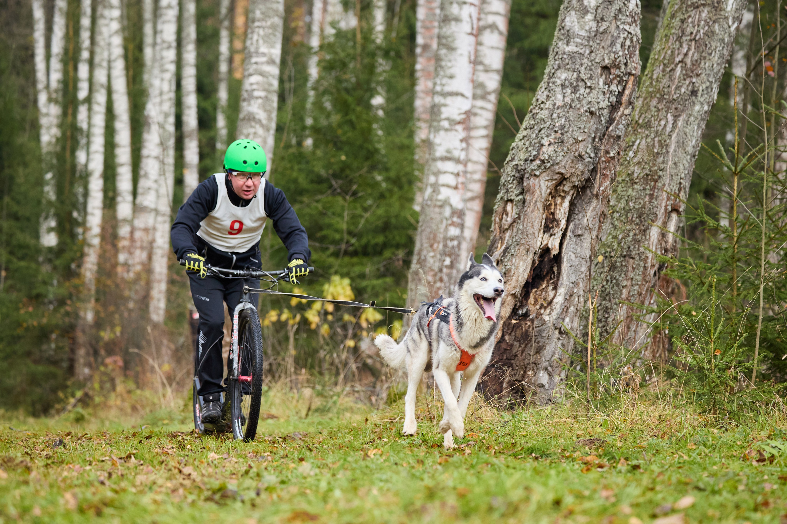 Чемпионат по ЕС Ярославской области. Фотограф Ирина Астор