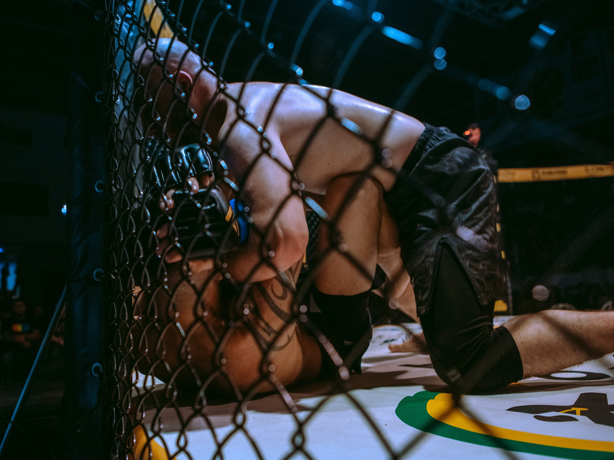 SFL 17 | Siberian Fighting League. Портретный фотограф в Москве Дарья Цезария