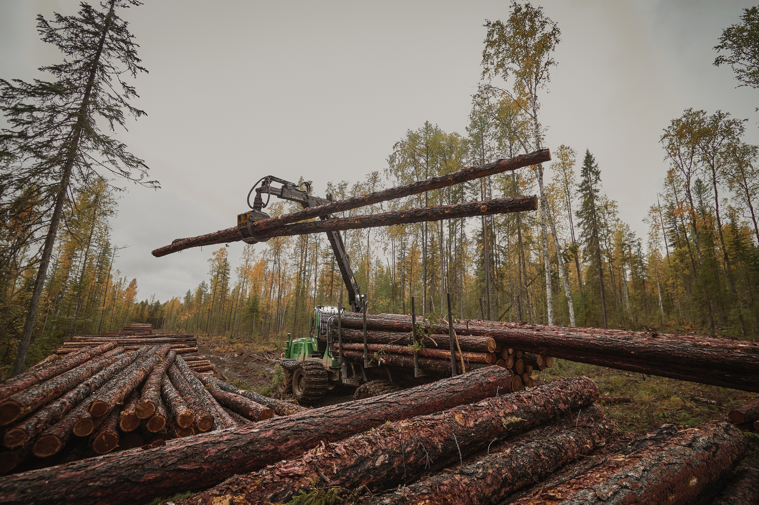 Лесозаготовка г. Мотыгино. Фотограф Яковлев Роман — Красноярск
