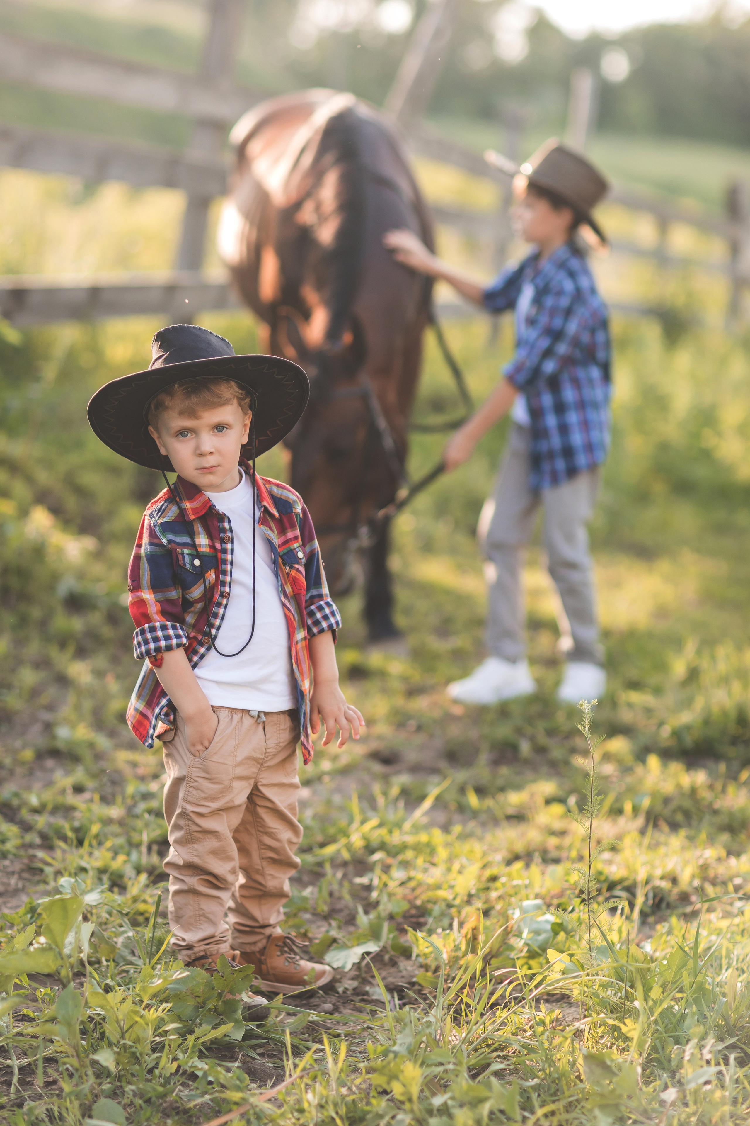 Лошадки. Семейный и детский фотограф Краснодар Валерия Власенко