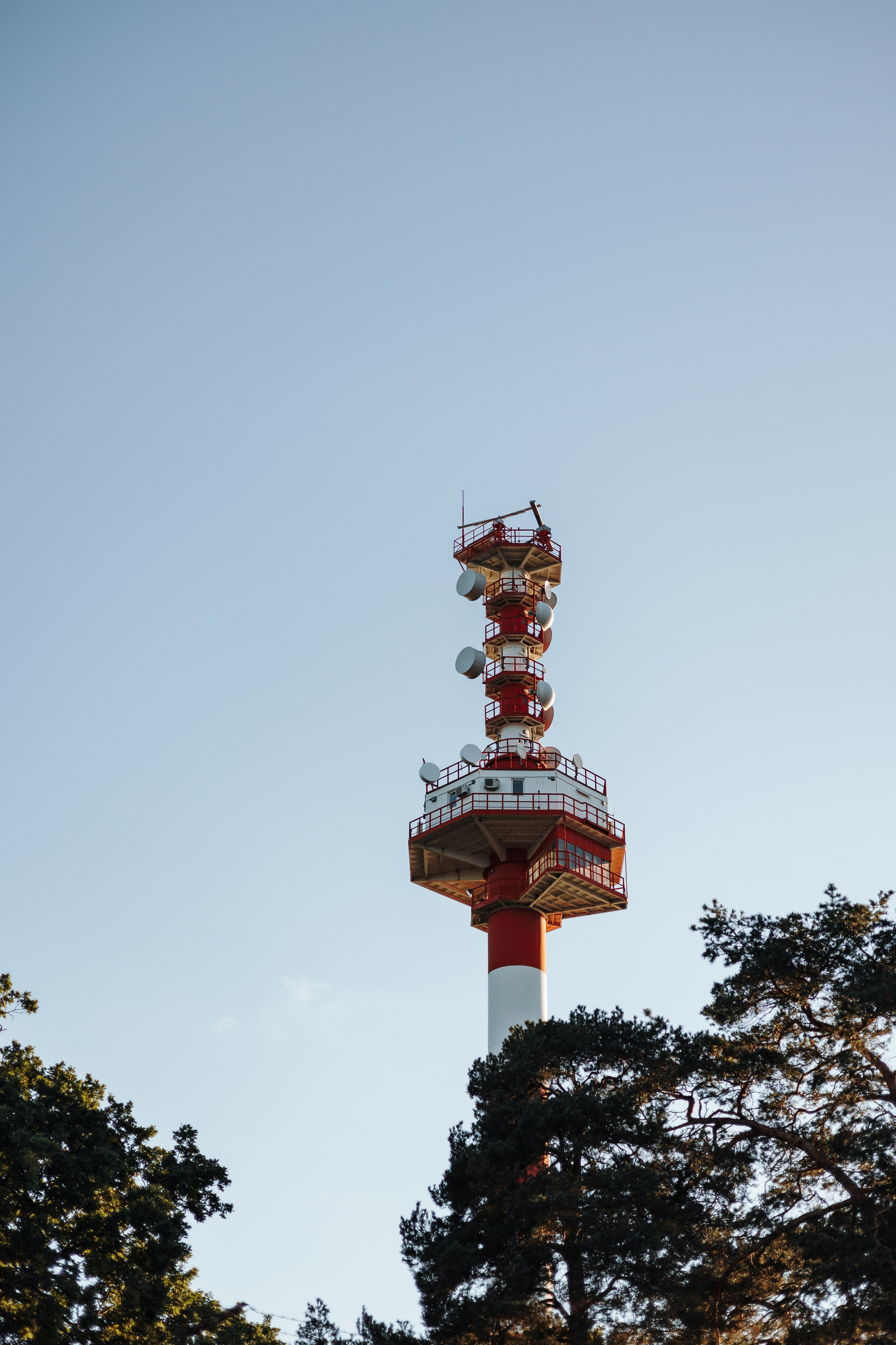 Верон, Гарри и их семья. Фотограф — Анималист | Санкт-Петербург