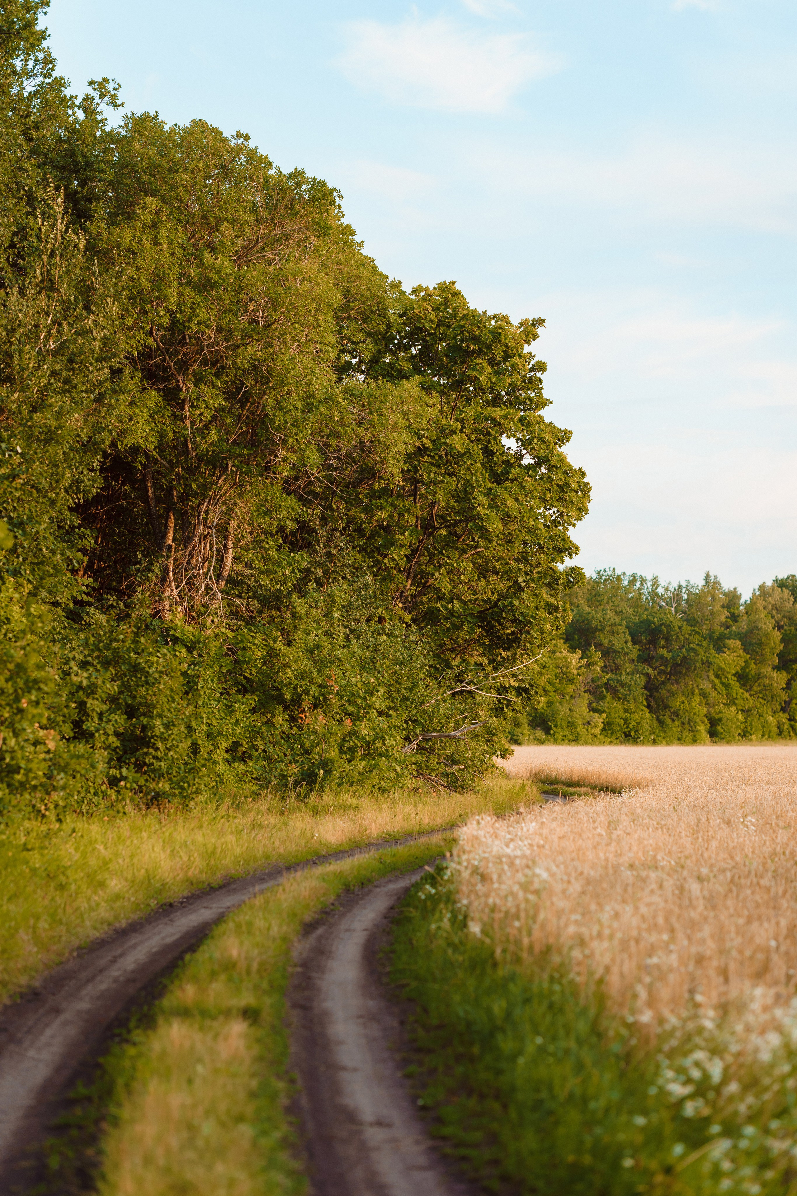В ожидании. Семейный и свадебный фотограф в Бугуруслане Екатерина Ронжина