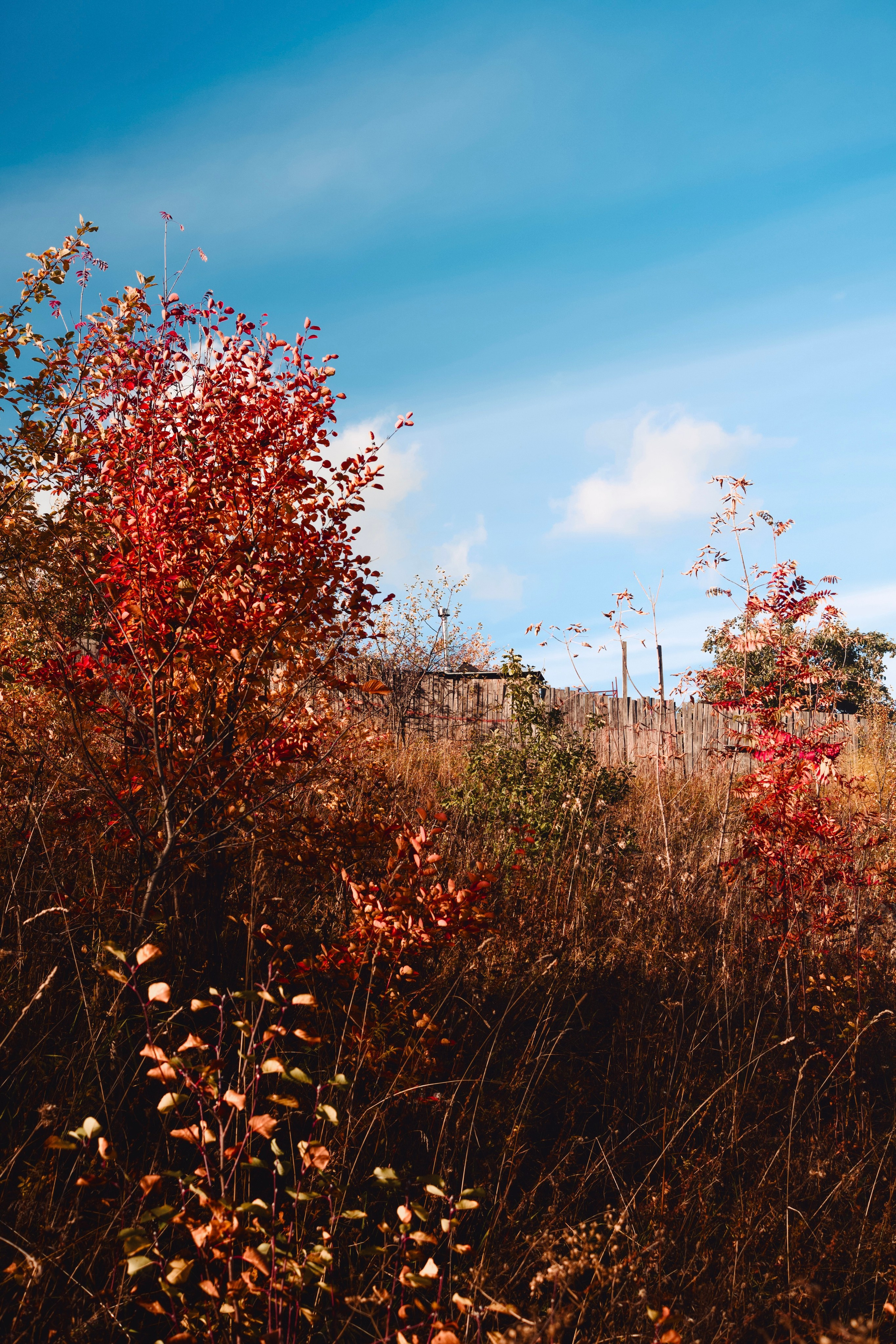 Пейзажи. Фотограф-любитель из Кирова Андрей Погребняк