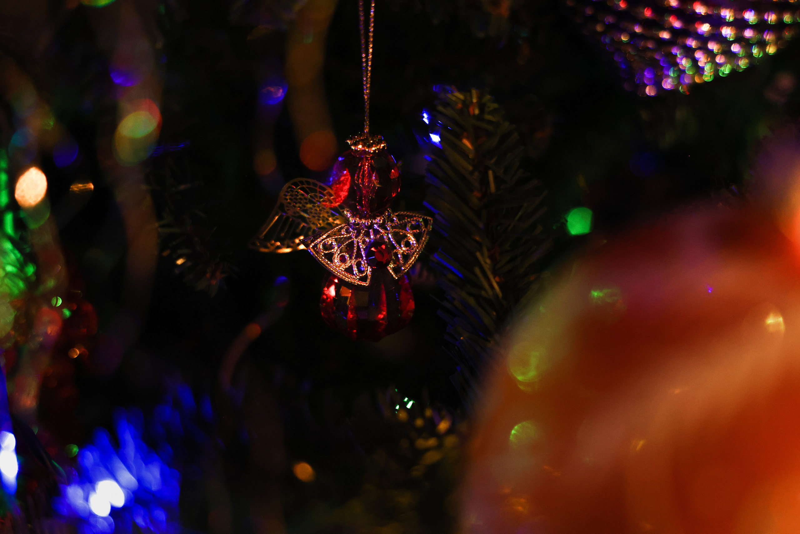 Christmas tree. Portrait photographer based in Toronto — Blinova Mariia