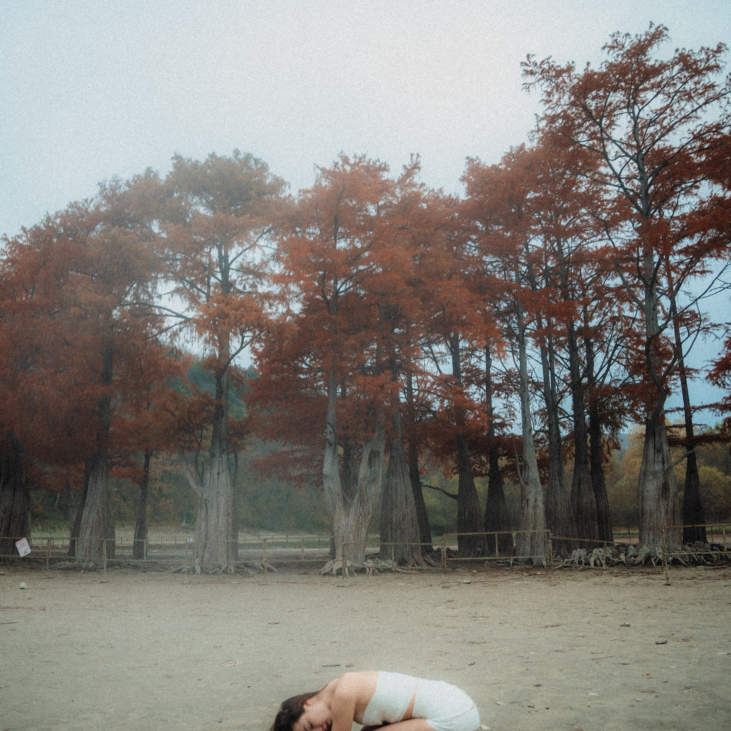 Personality. VISUAL ARTIST · KRONGAUZ ANASTASIA