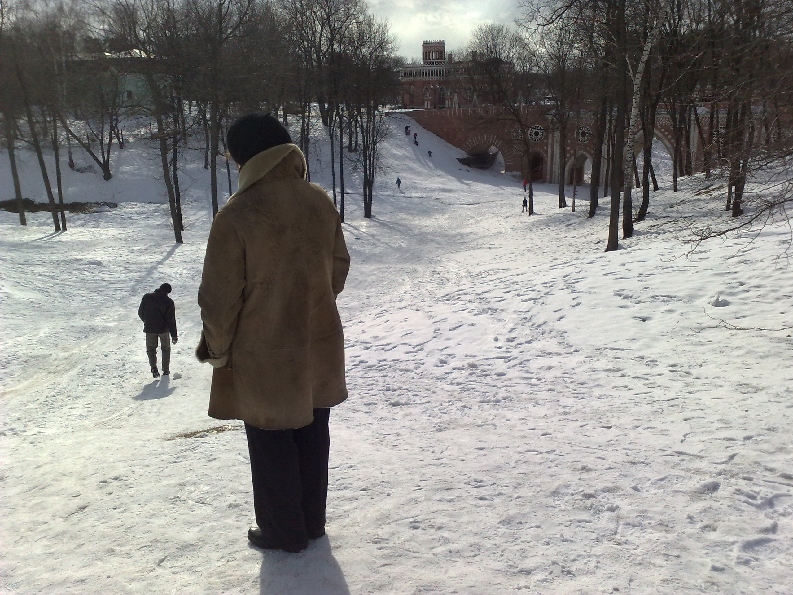 Царицино музей-усадьба. Питомник китайских хохлатых собак Poale Ell: купить щенка в питомнике