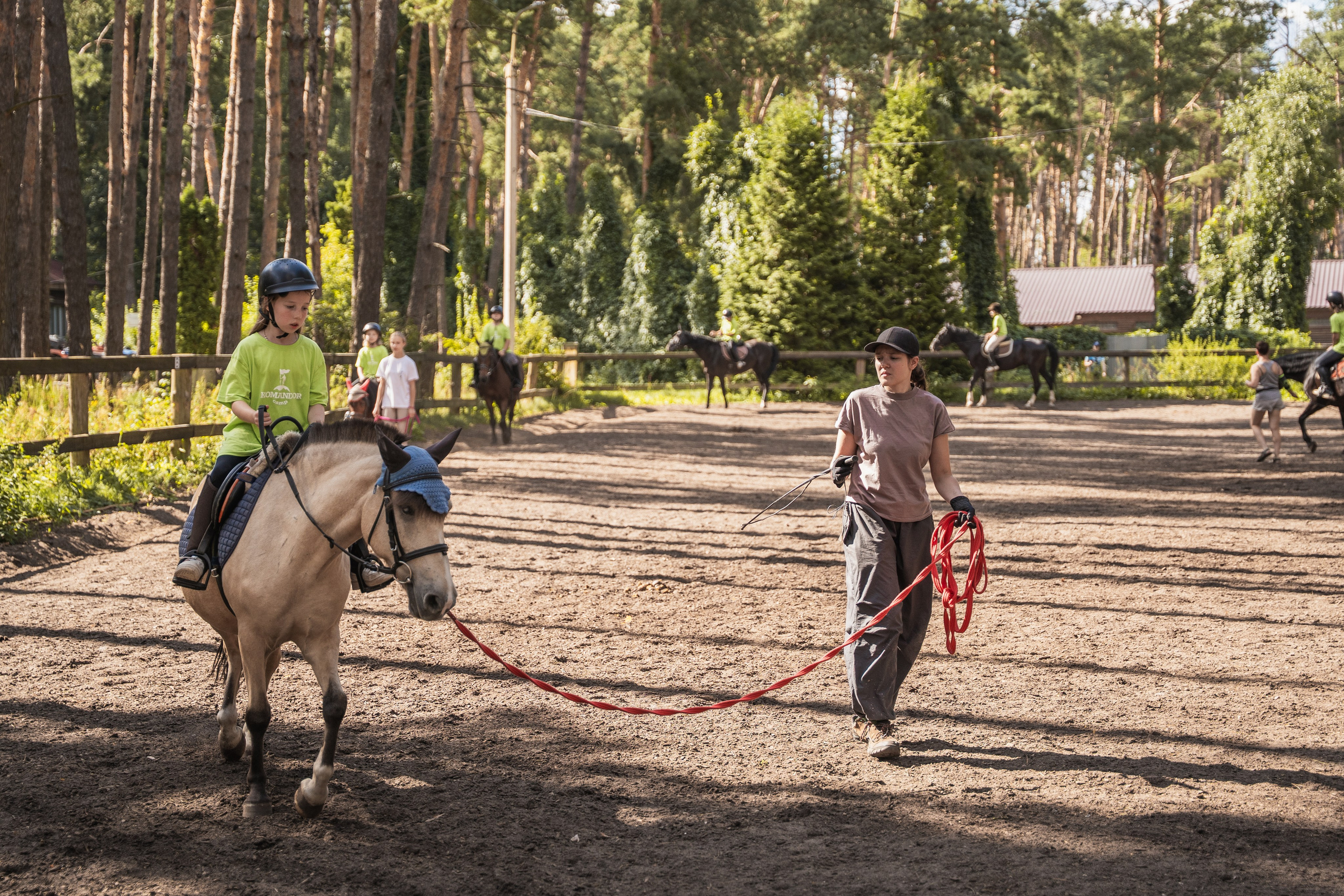 Конное занятие. Главная