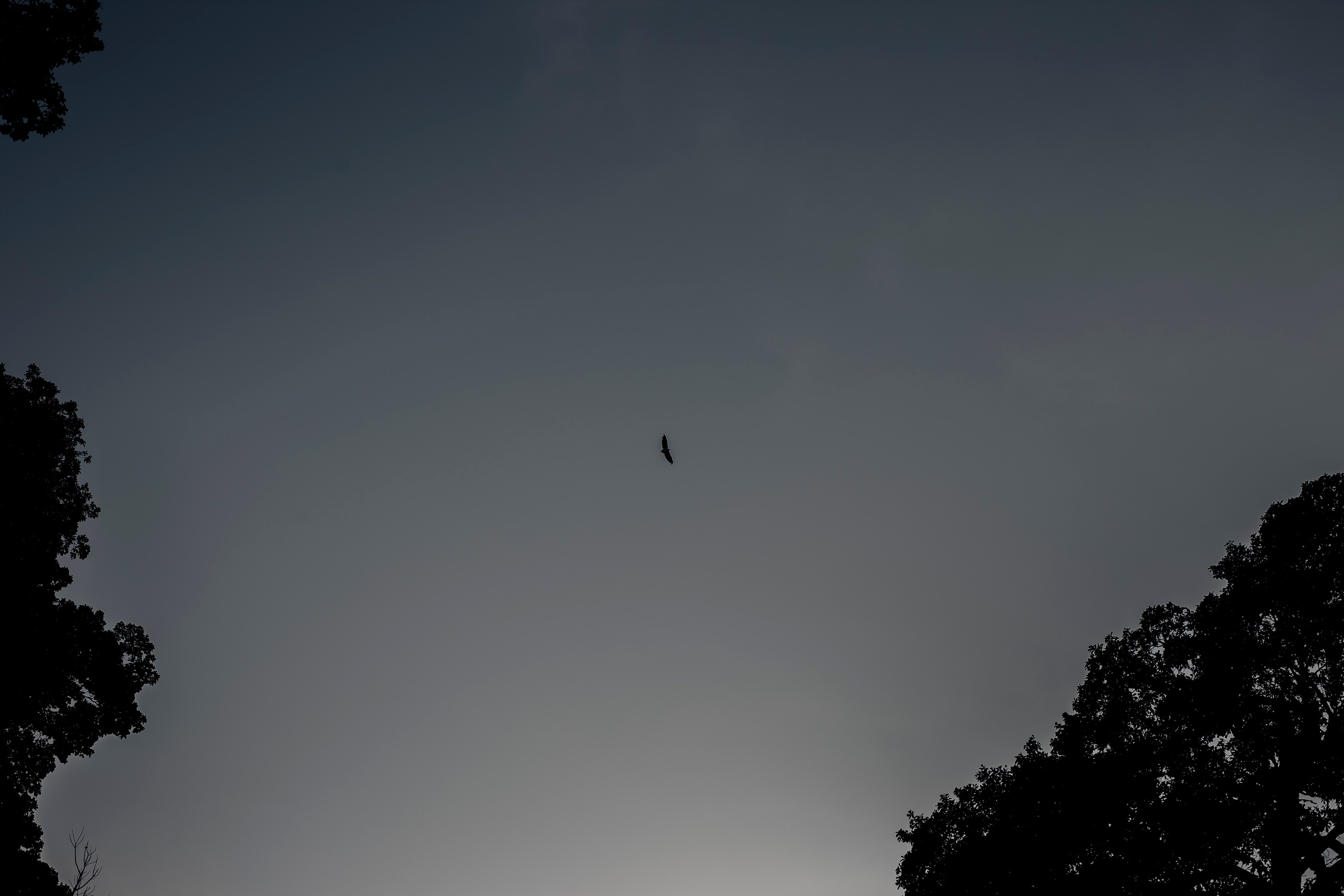 Andaman Islands, Part2. Art Photographer