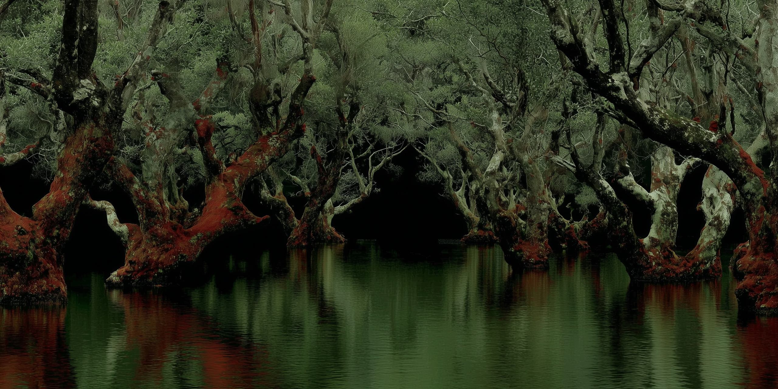 Хтонический авангард. Репортажная и портретная фотосъёмка
