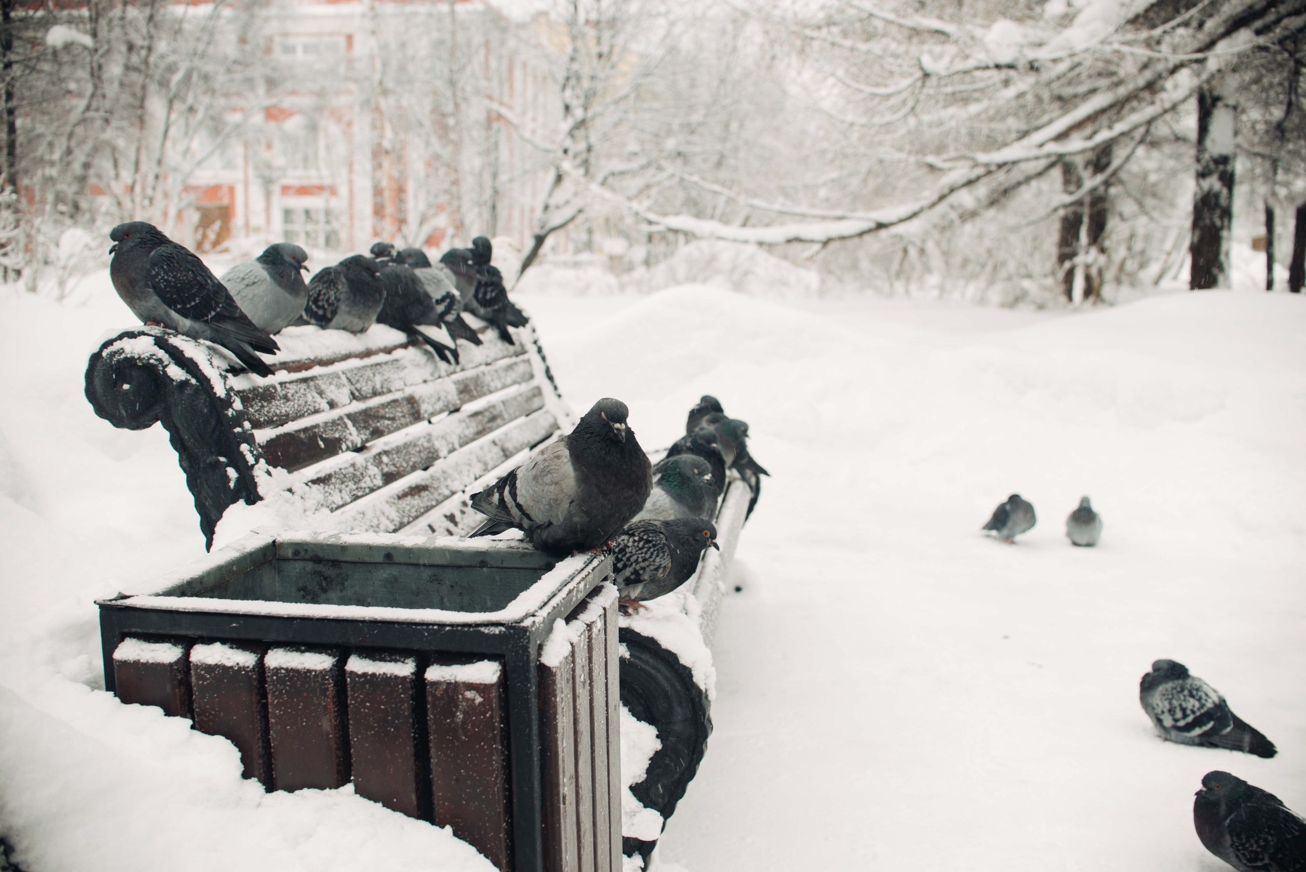 Мурманск, Териберка. Главная