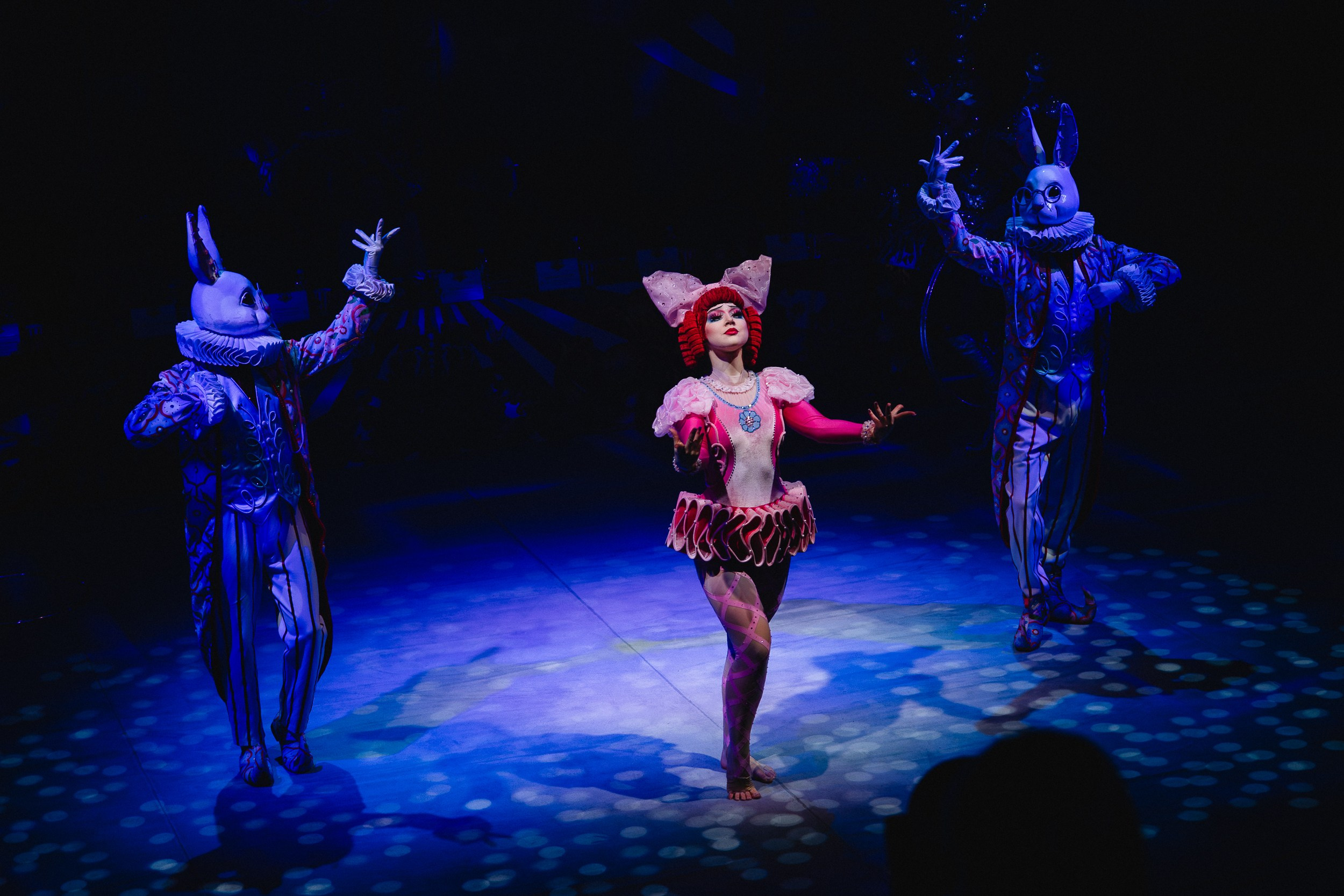 5 Континентов — Пресс-показ в Новосибирском Цирке. Воробьева Ксения — Спортивный и танцевальный фотограф Новосибирск