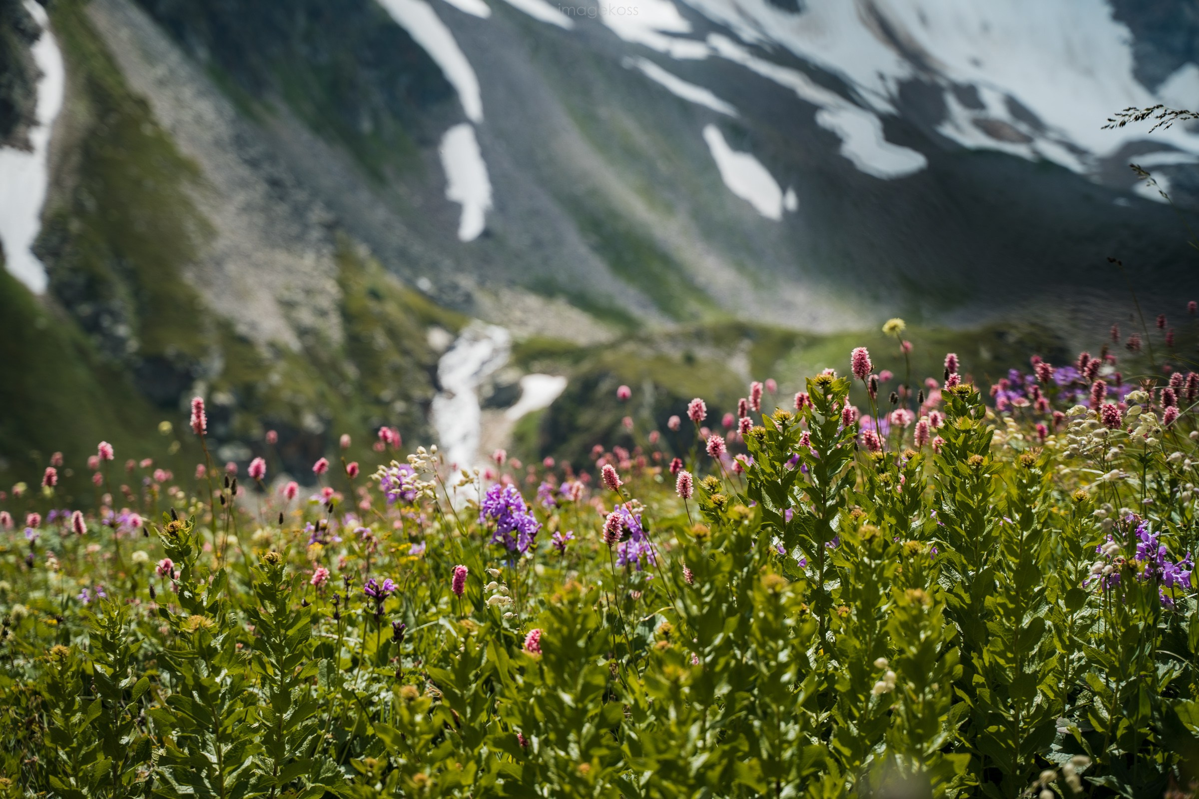 КБР. Эльбрус, Адыр-Су, Сылтран-кёль. Фотограф в поход и восхождение на Эльбрус Игорь Косарев