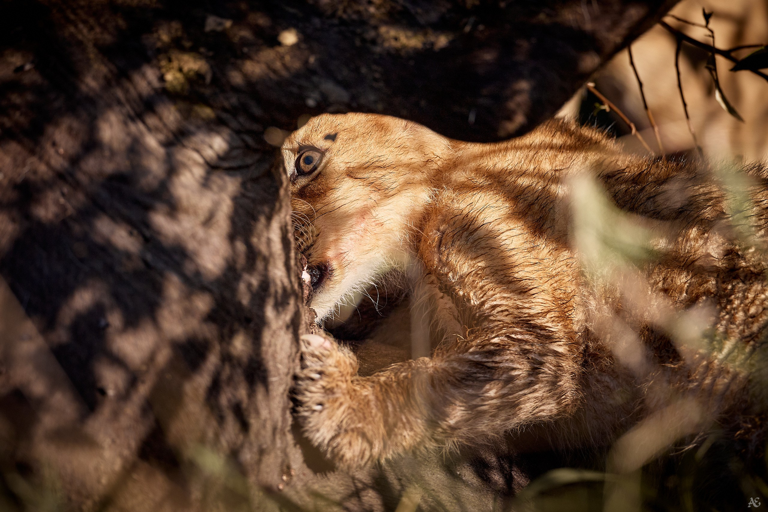 Концентрация