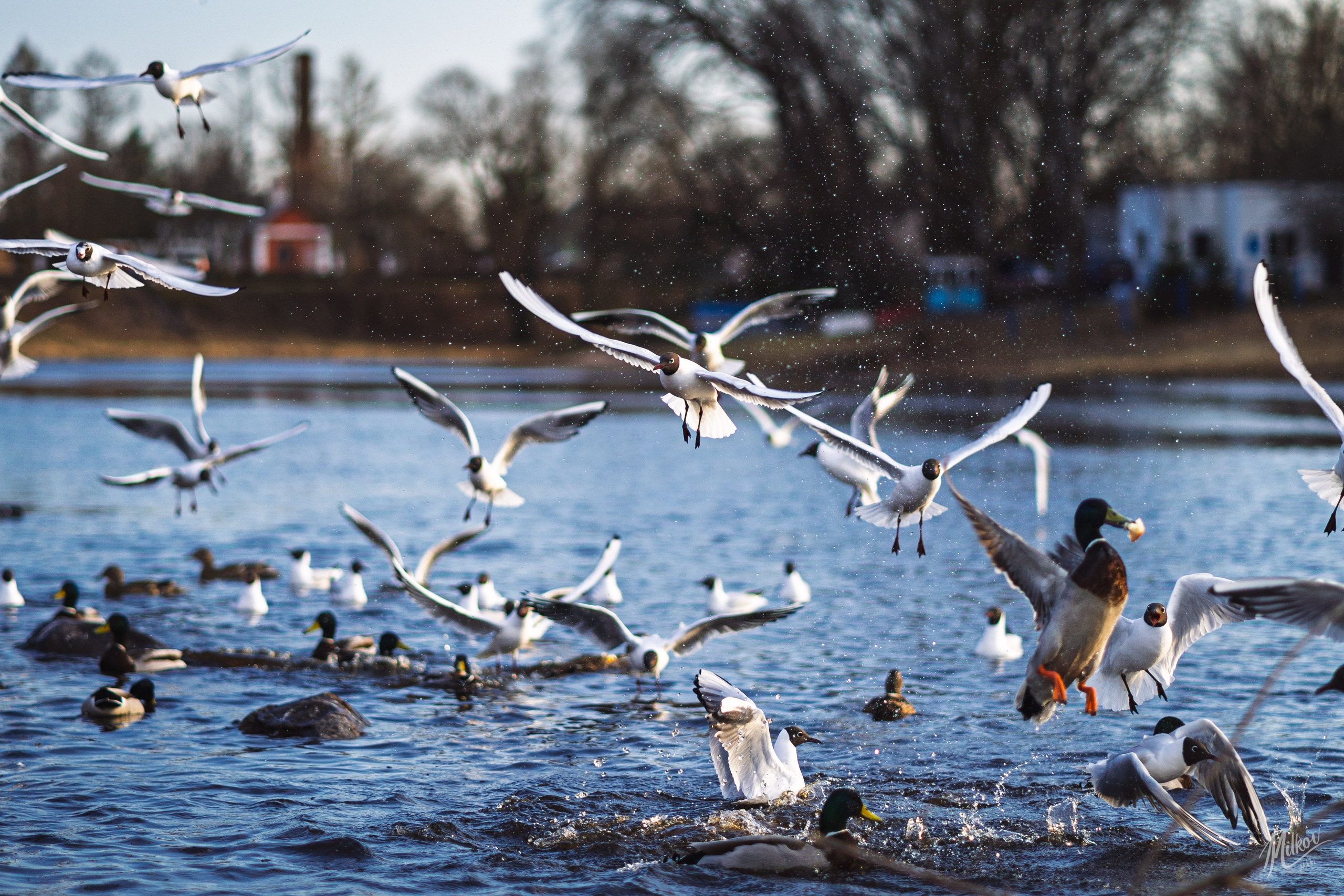 Стрит фото. Mikoff — Воспоминания и эмоции неподвластные времени