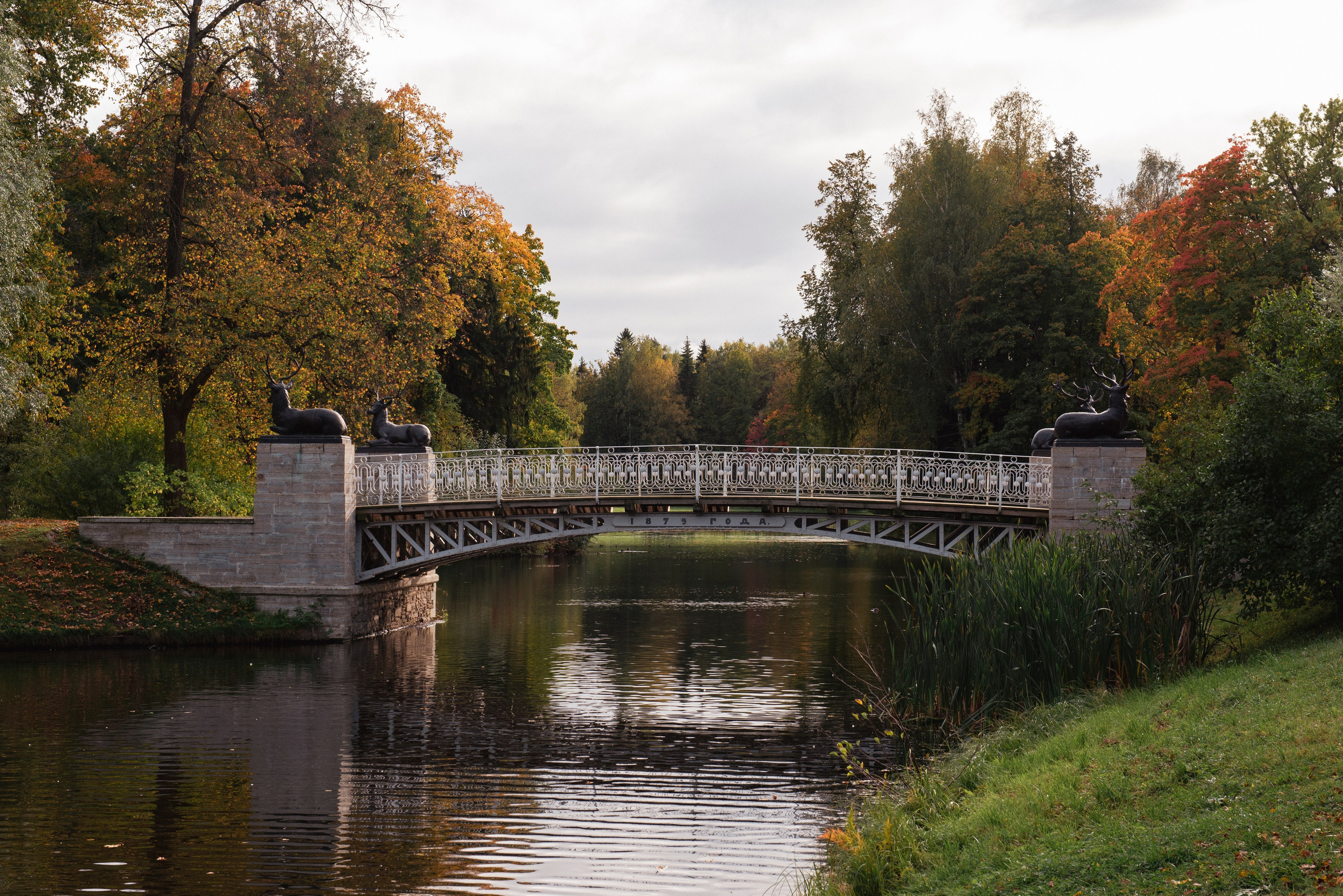 Павловский парк. Портретный и архитектурный фотограф в Москве и Санкт-Петербурге