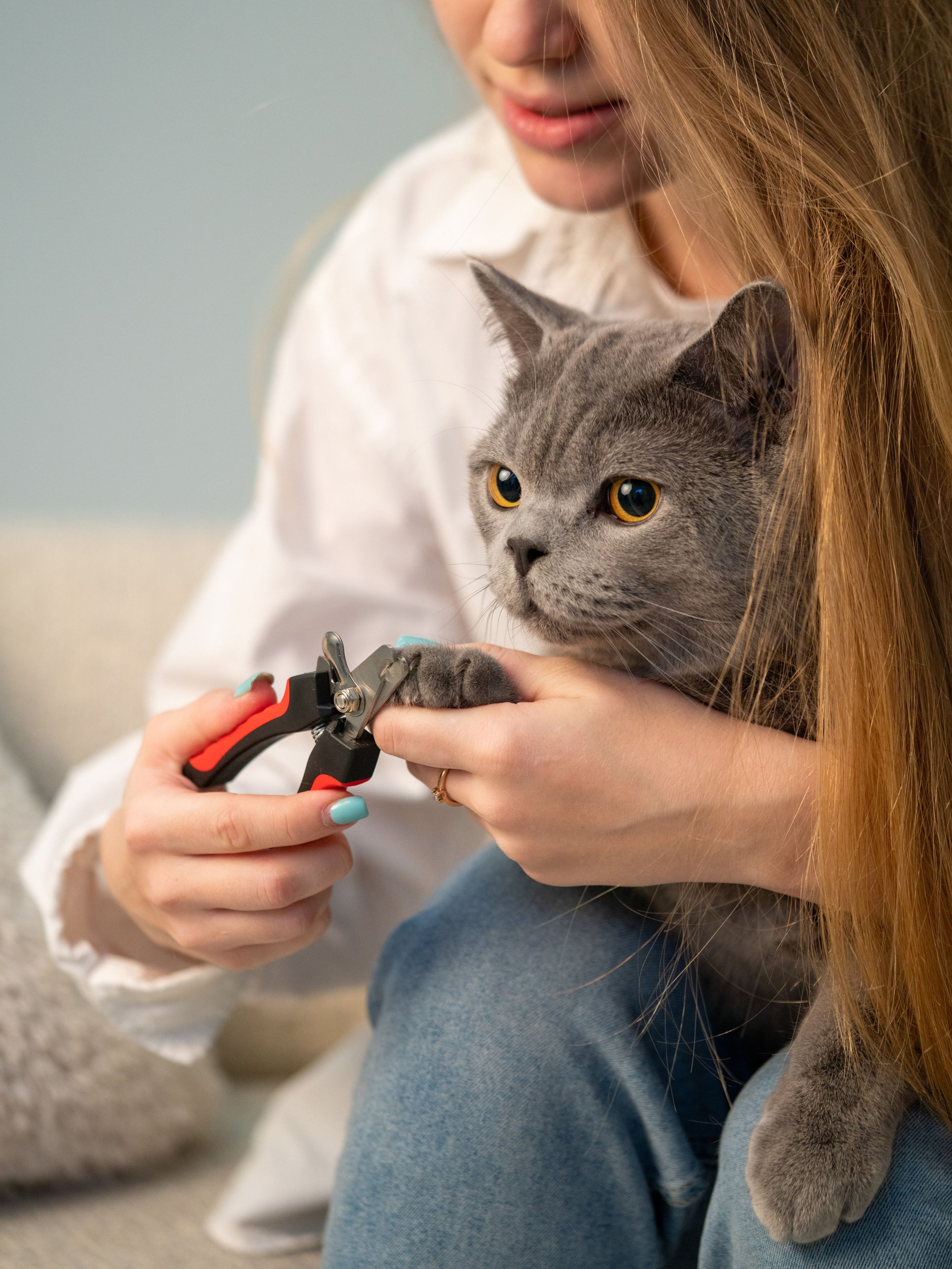 Съемки с животными. КЕД Студия-контент агентство полного цикла СПБ. Создаём фото, видео и контент, который помогает брендам и селлерам продавать больше