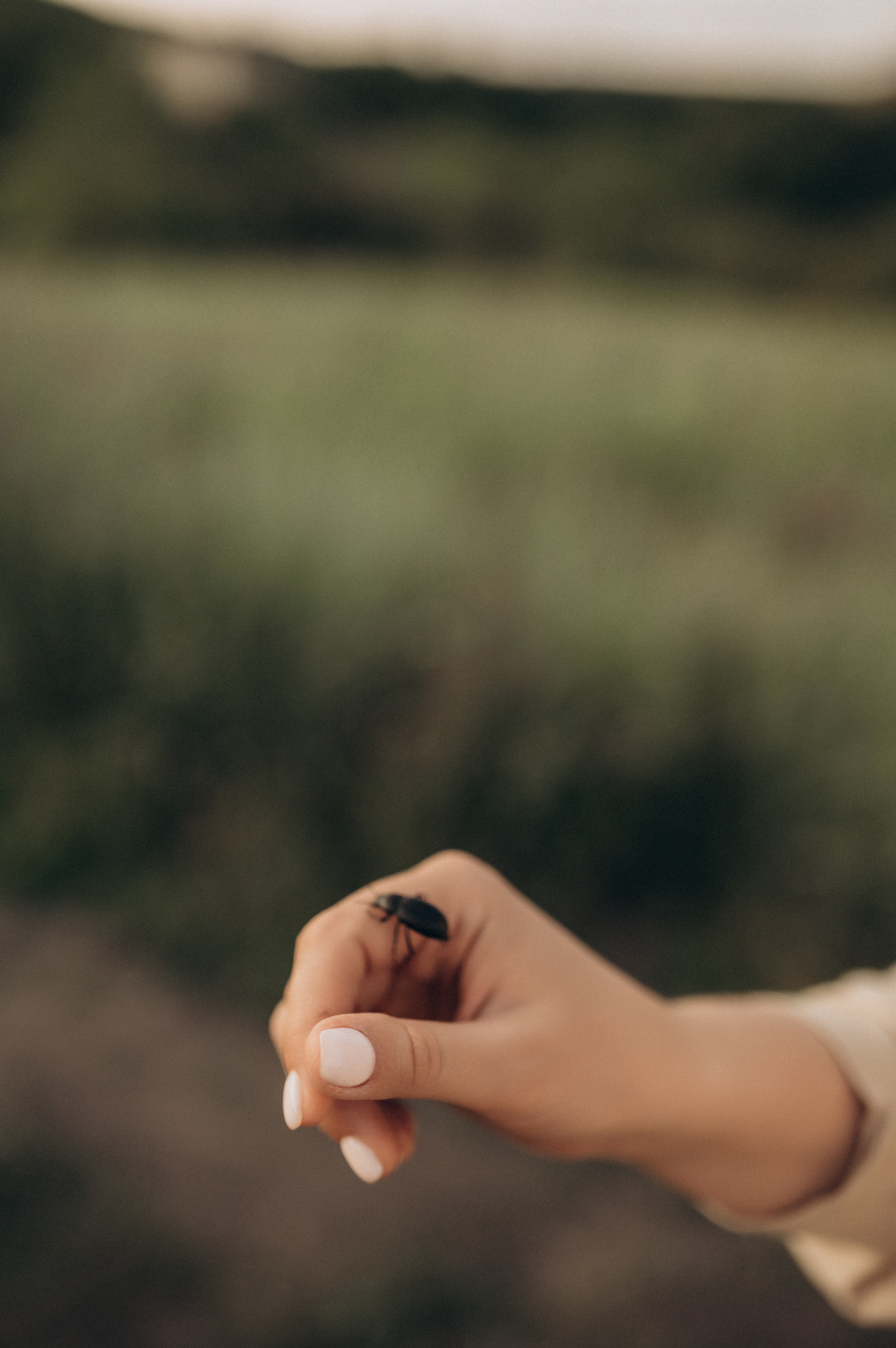 Летний вечер с самыми любимыми. Фотограф Мария Стрелкова