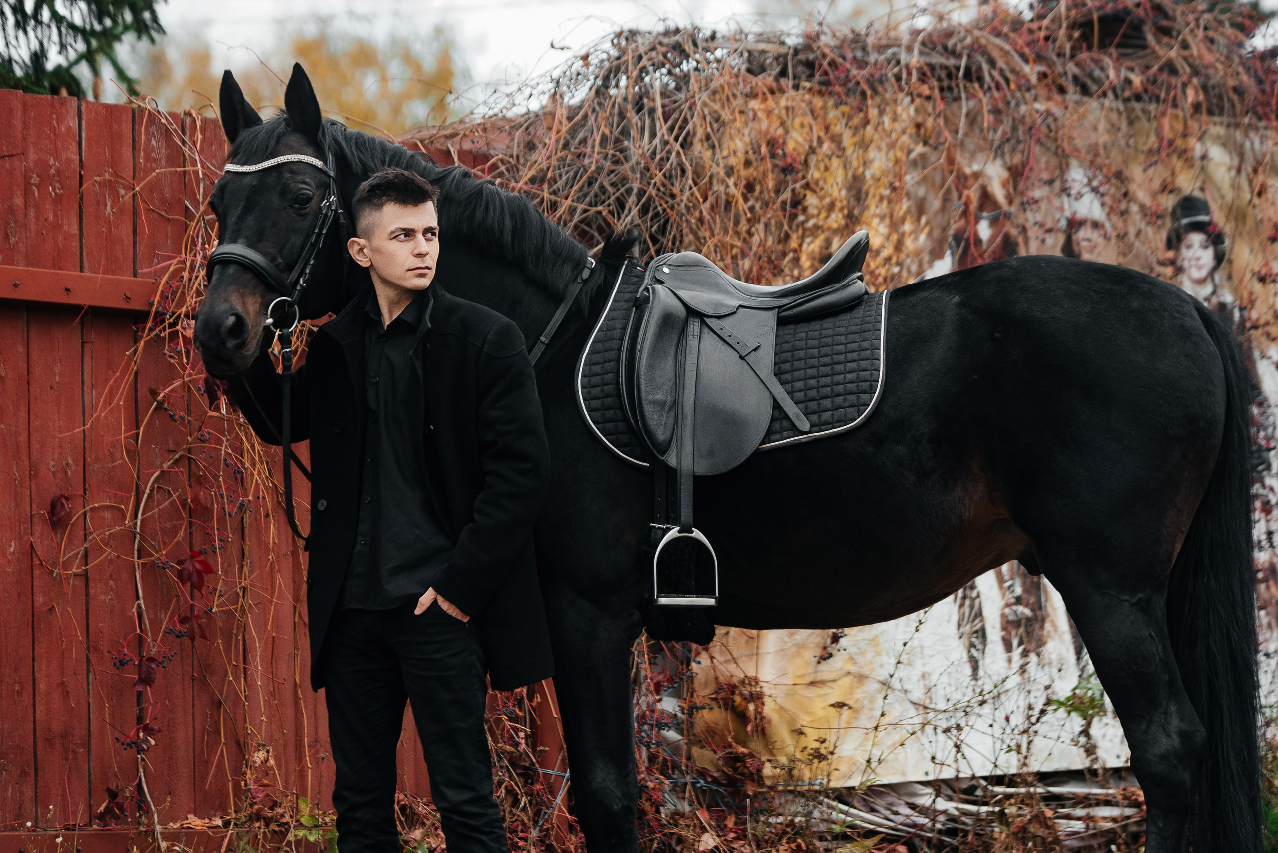 Фотосессии с лошадьми. Фотограф Рязань