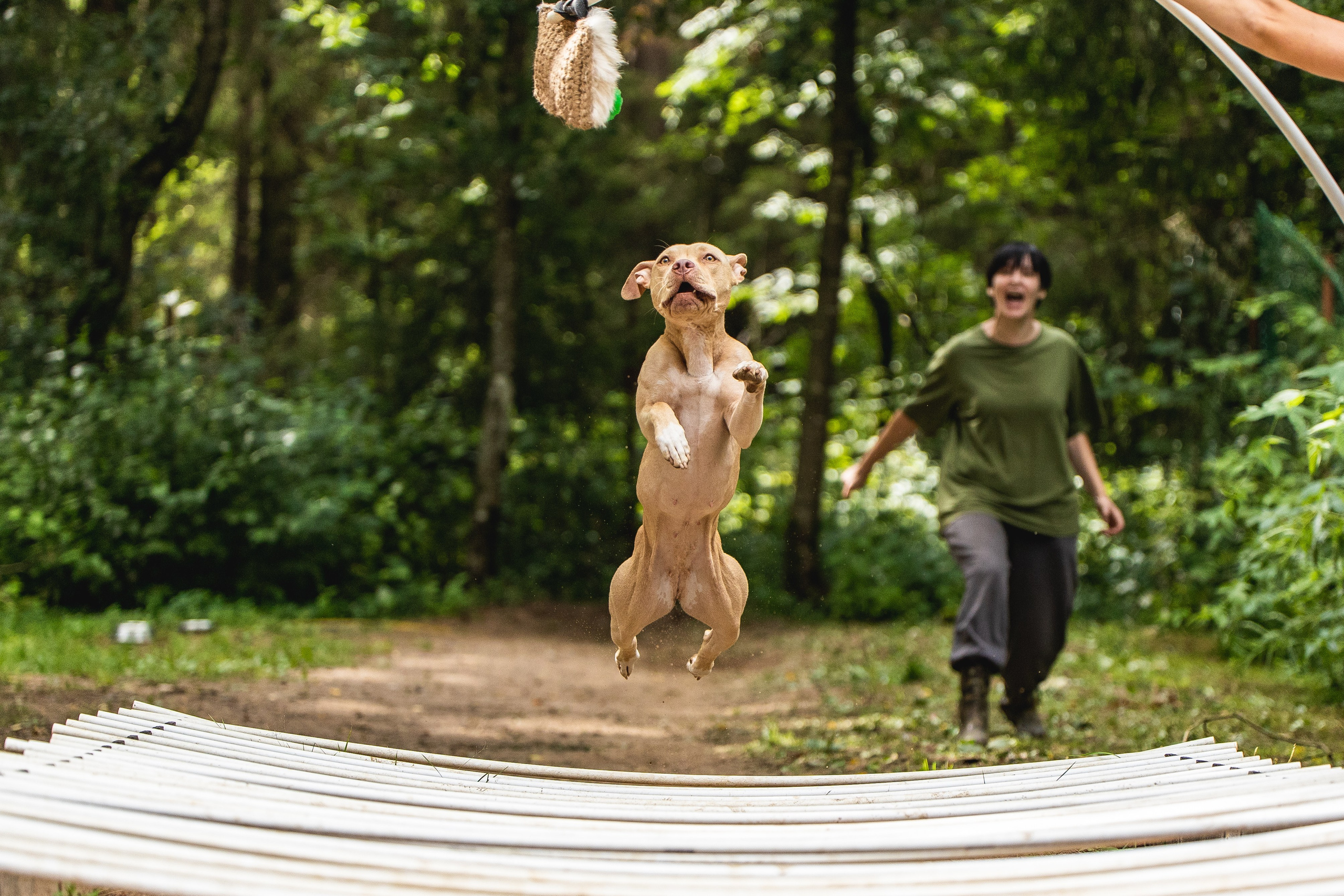 Питстафф-многоборье. Фотограф для людей и их питомцев Вика Шальнева