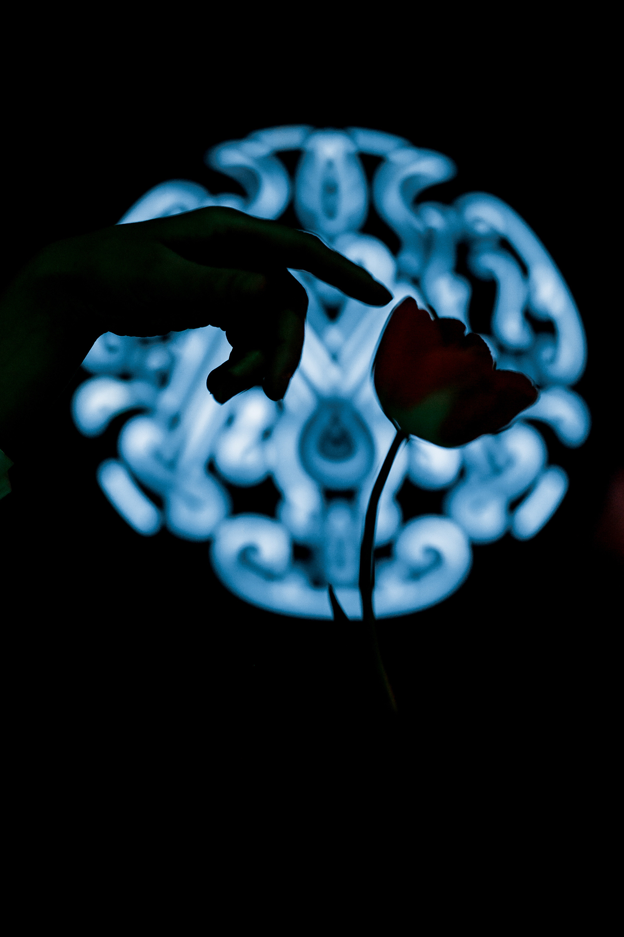 07\03\2023 Караоке в Мяте Спортивная. Мята Спортивная — Кальянная, караоке, бар в Минске