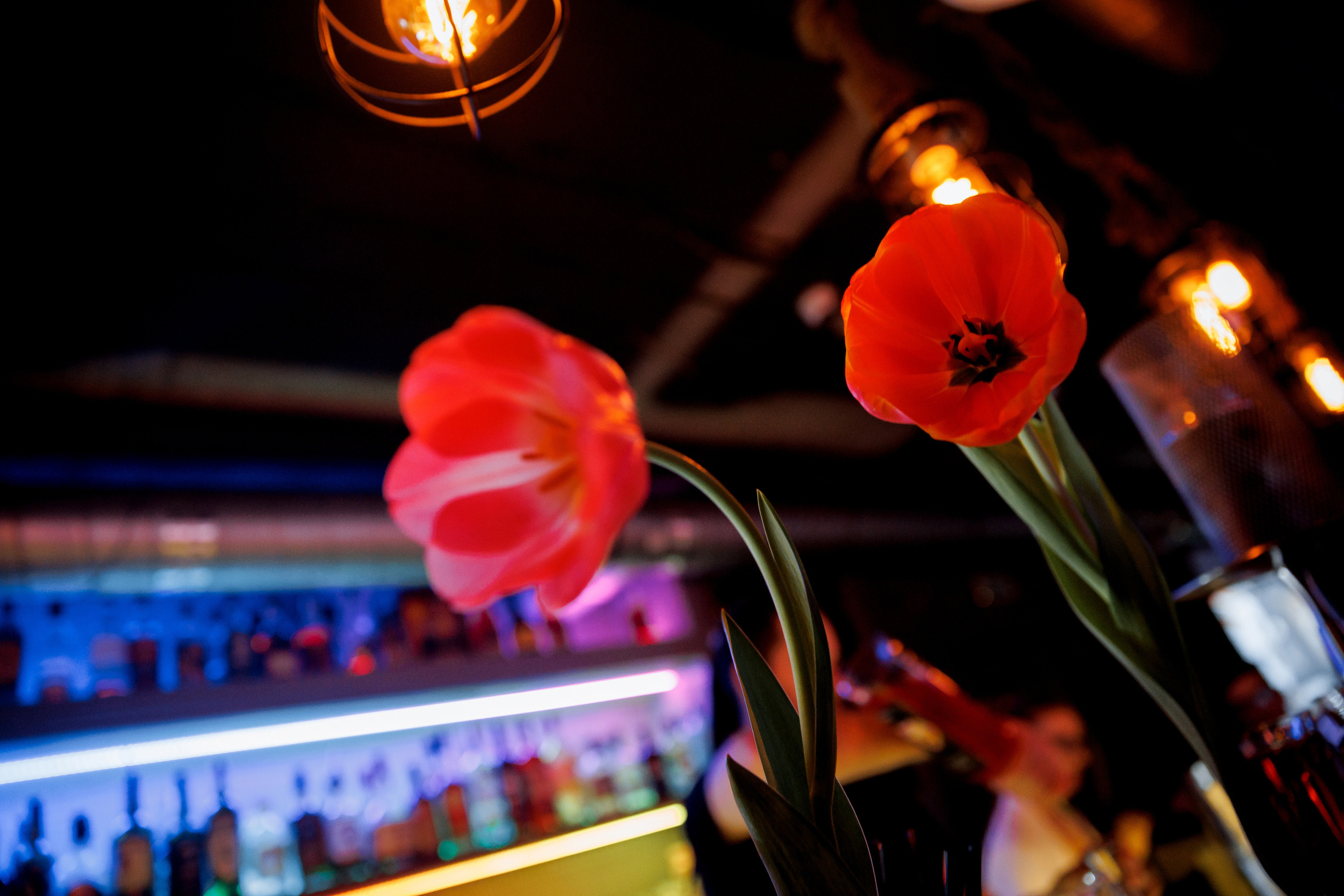 07\03\2023 Караоке в Мяте Спортивная. Мята Спортивная — Кальянная, караоке, бар в Минске