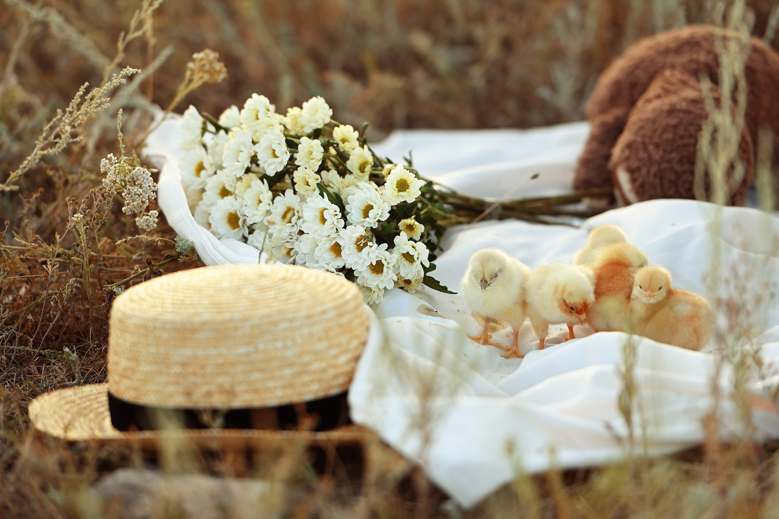 Элла. Свадебный и семейный фотограф в Самаре Головань Наталья