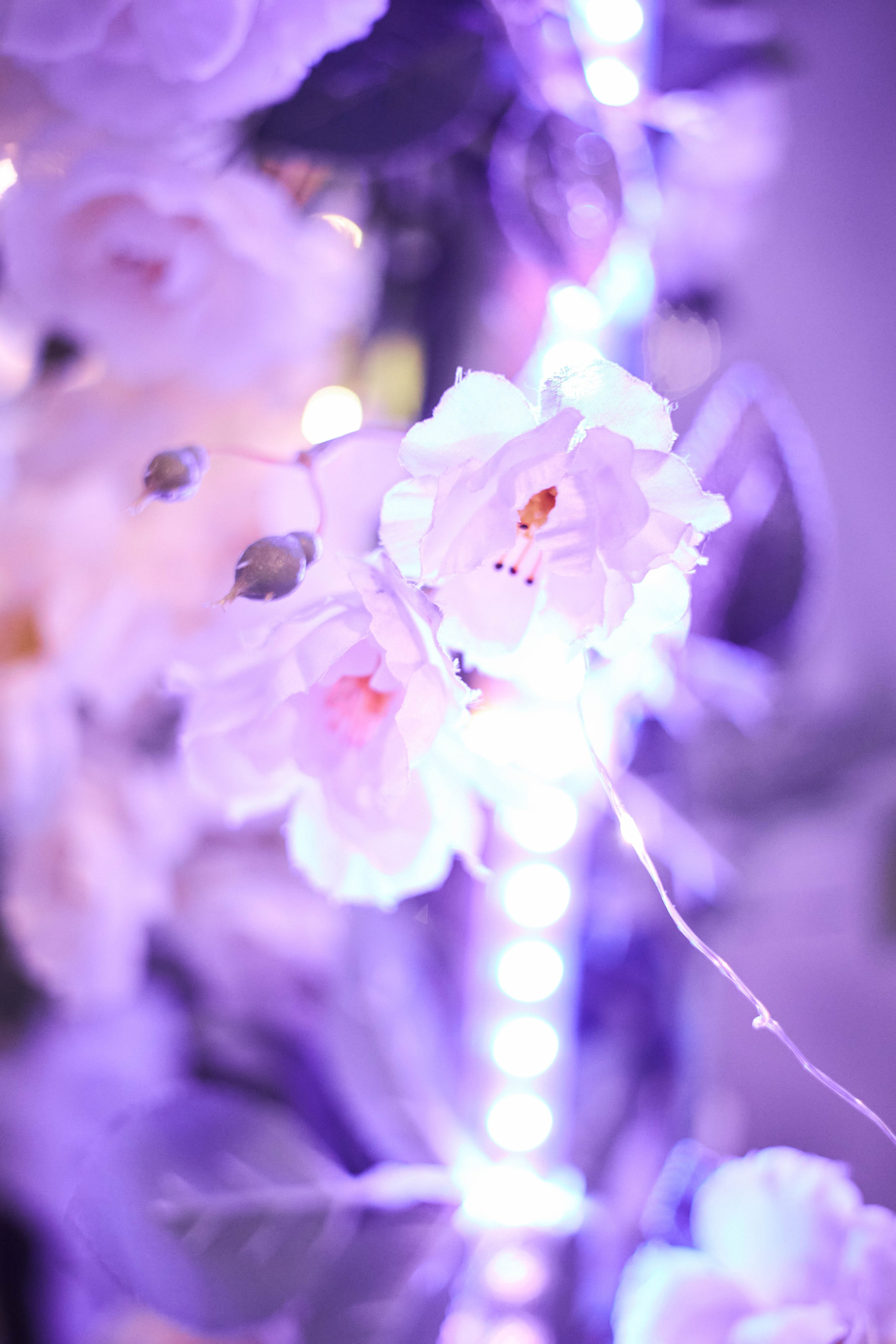 Свадьба Данила и Полины. Профессиональный фотограф Максим Романов в городе Хабаровске